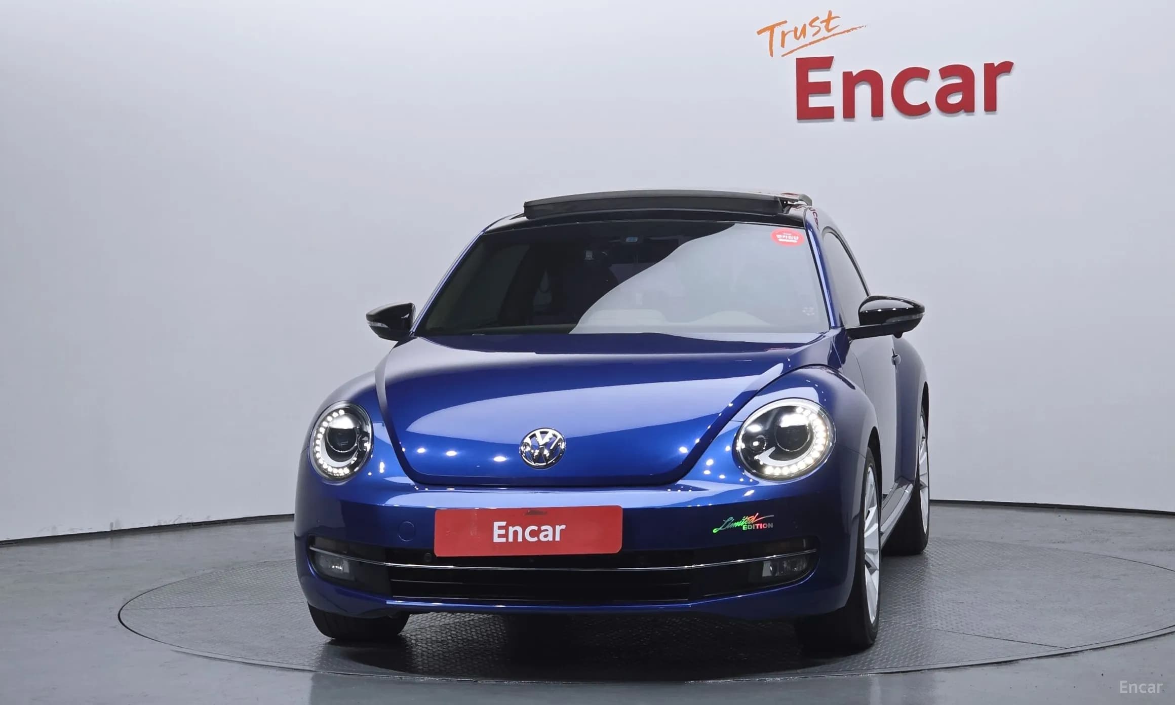 The Beetle