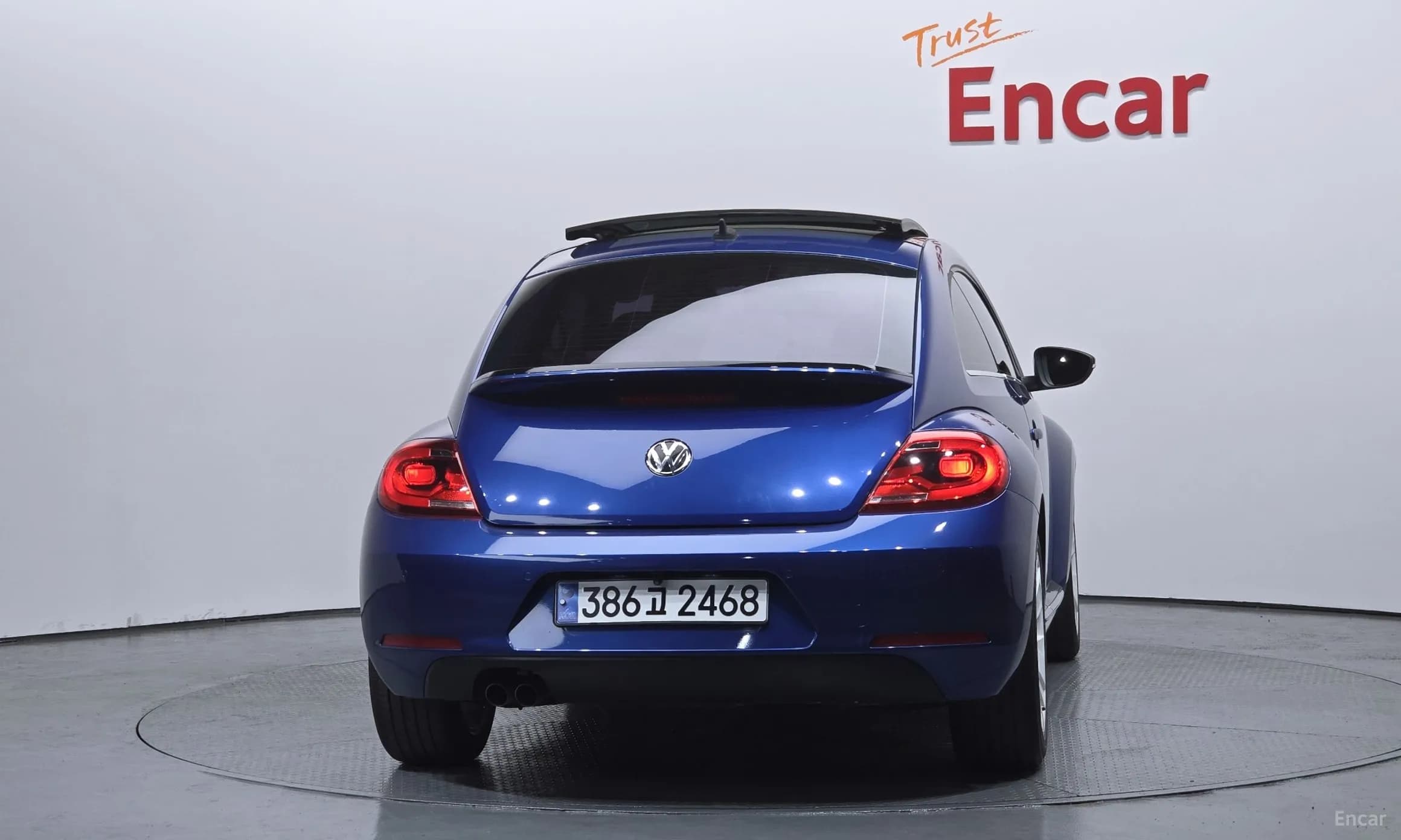 The Beetle