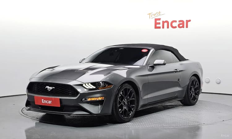 Mustang