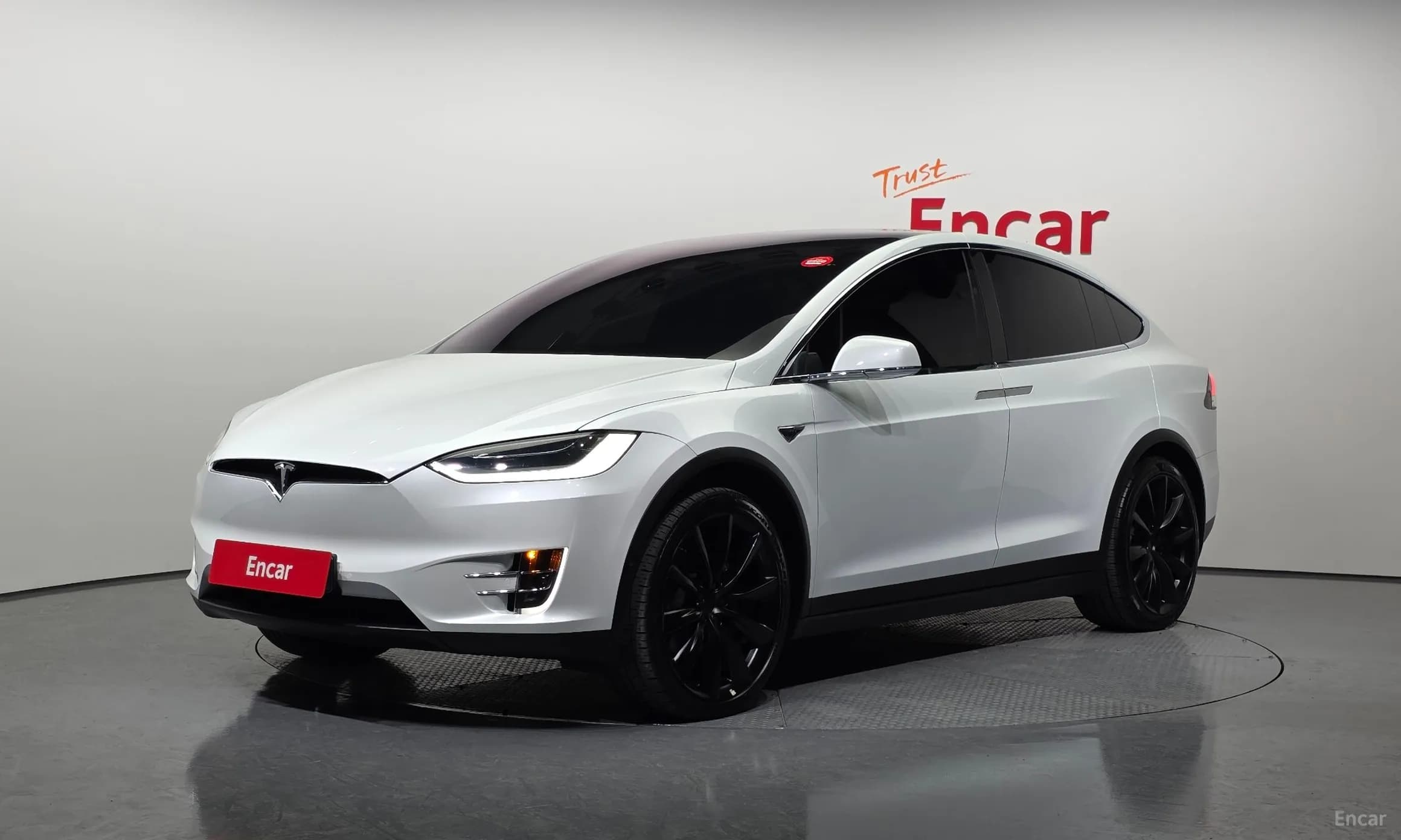 Model X