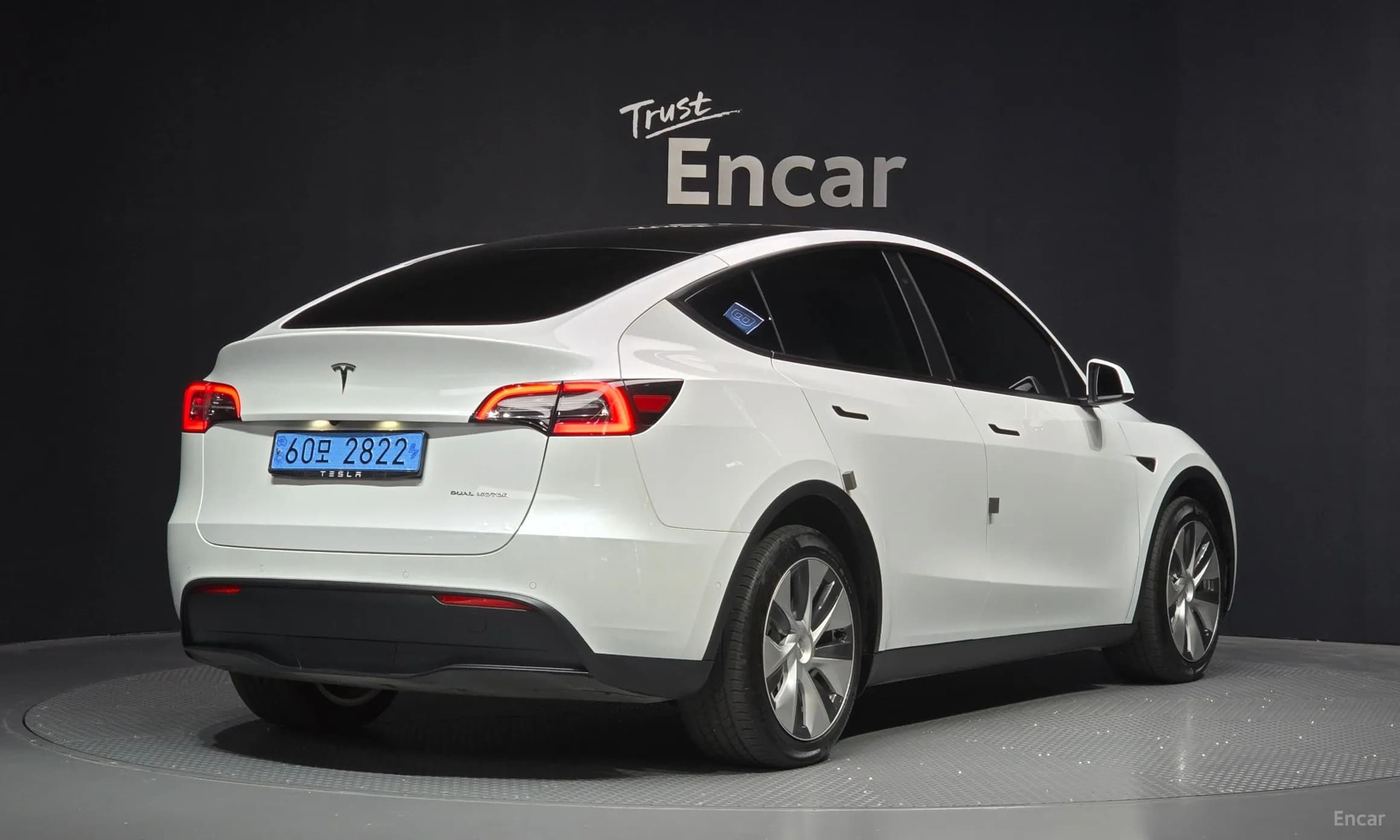 Model Y