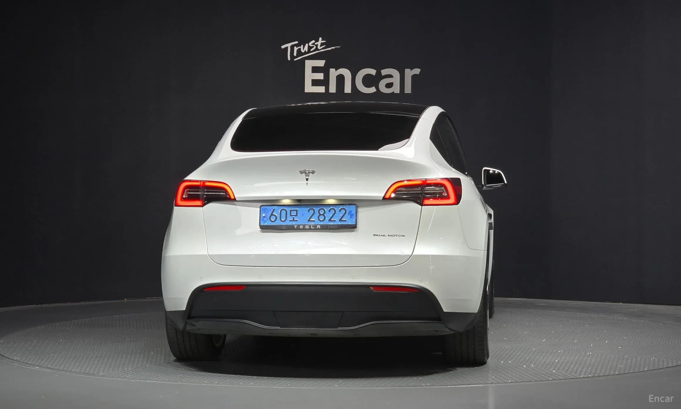 Model Y