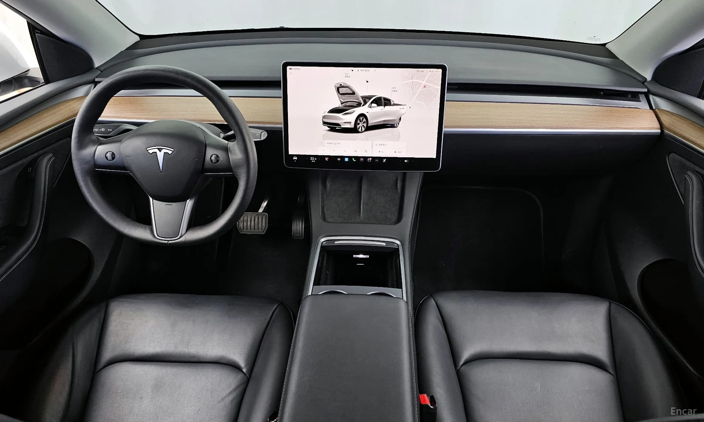 Model Y
