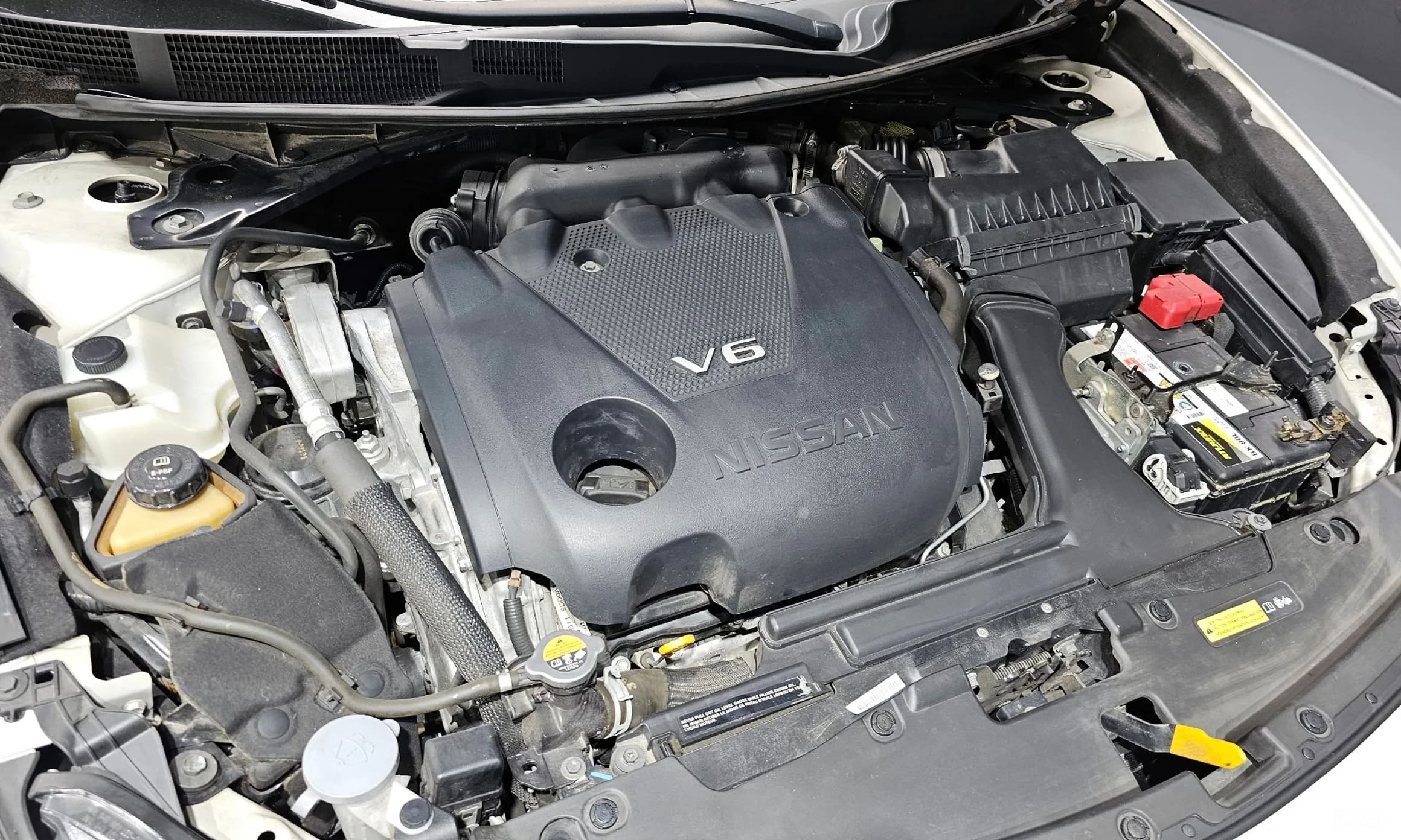 Maxima (A36)