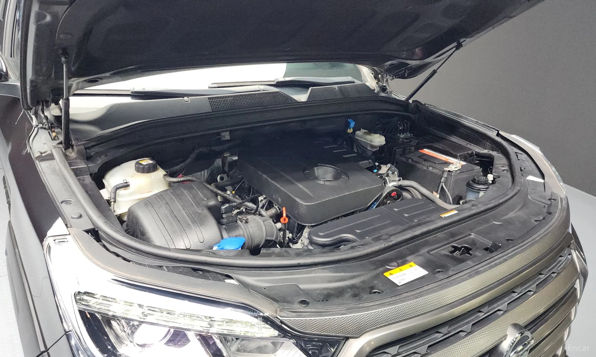 Rexton Sports