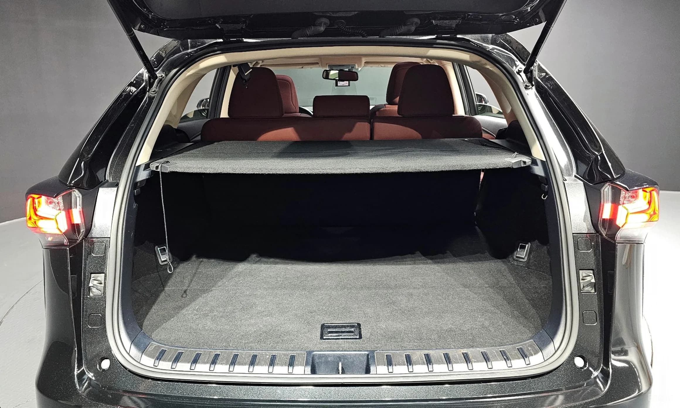 NX300h