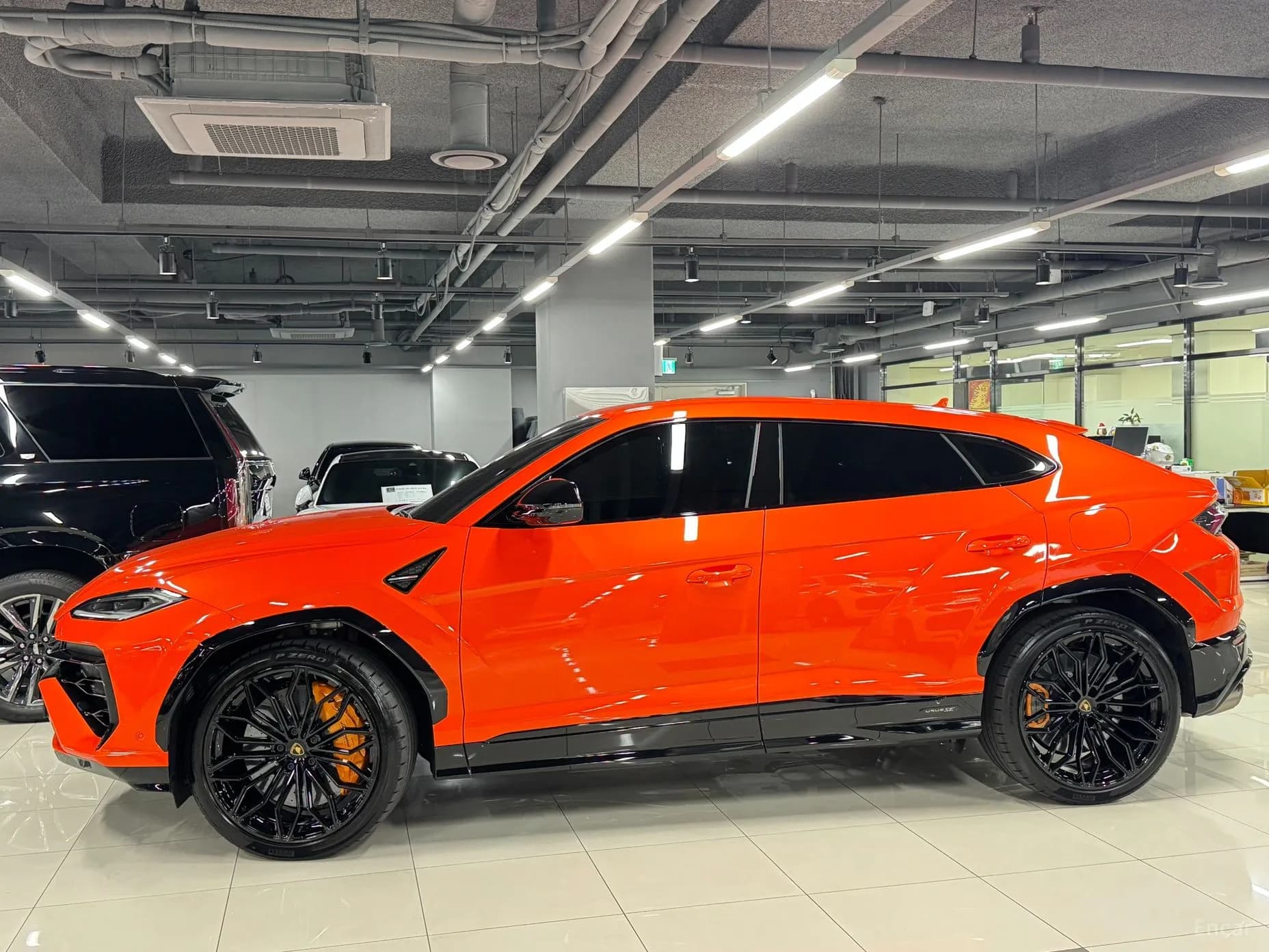 Urus