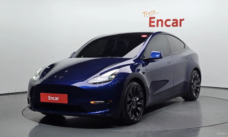 Model Y