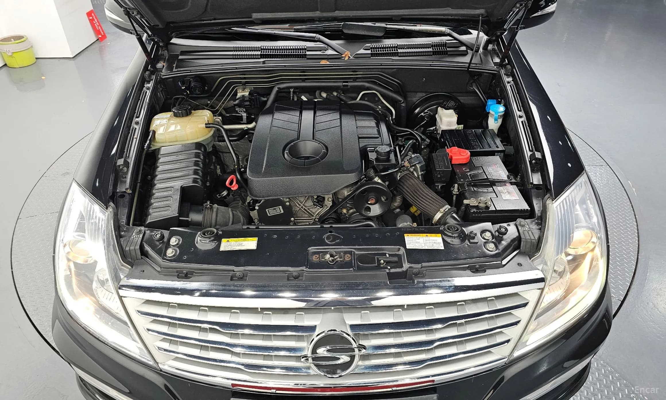 Rexton W