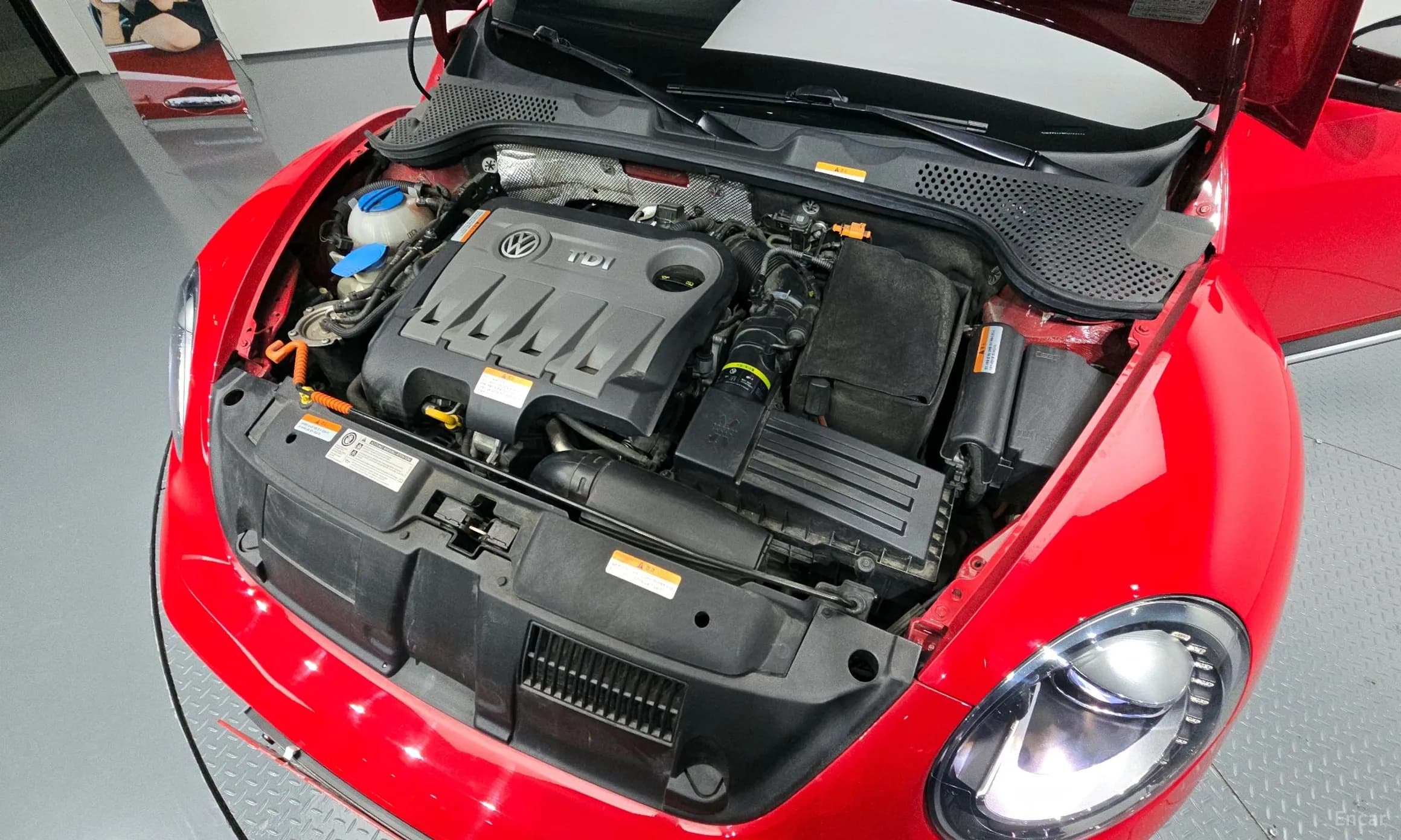 The Beetle