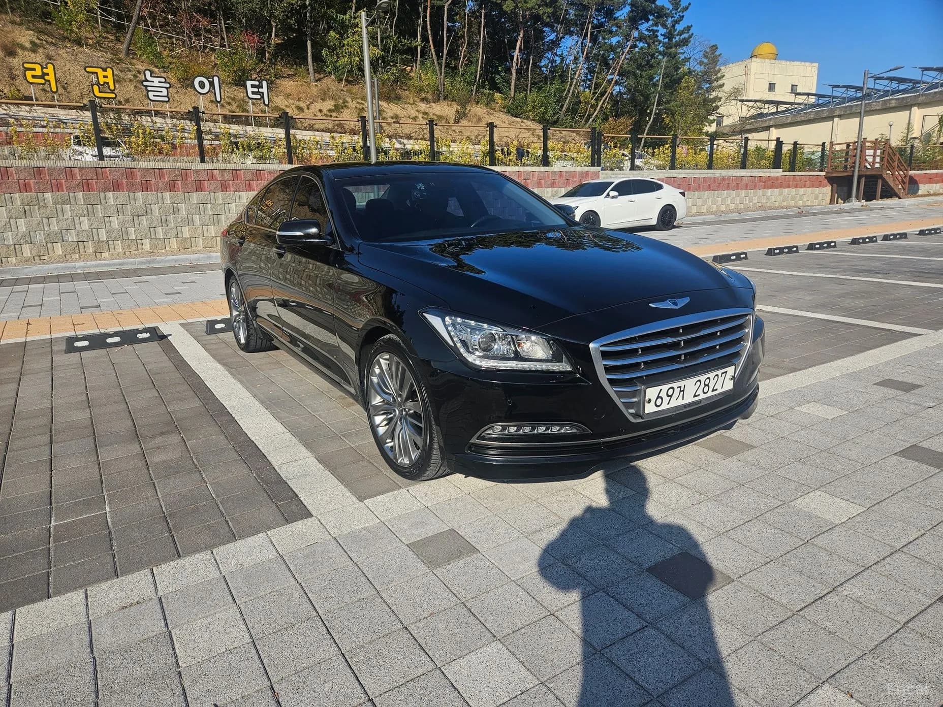 Genesis DH