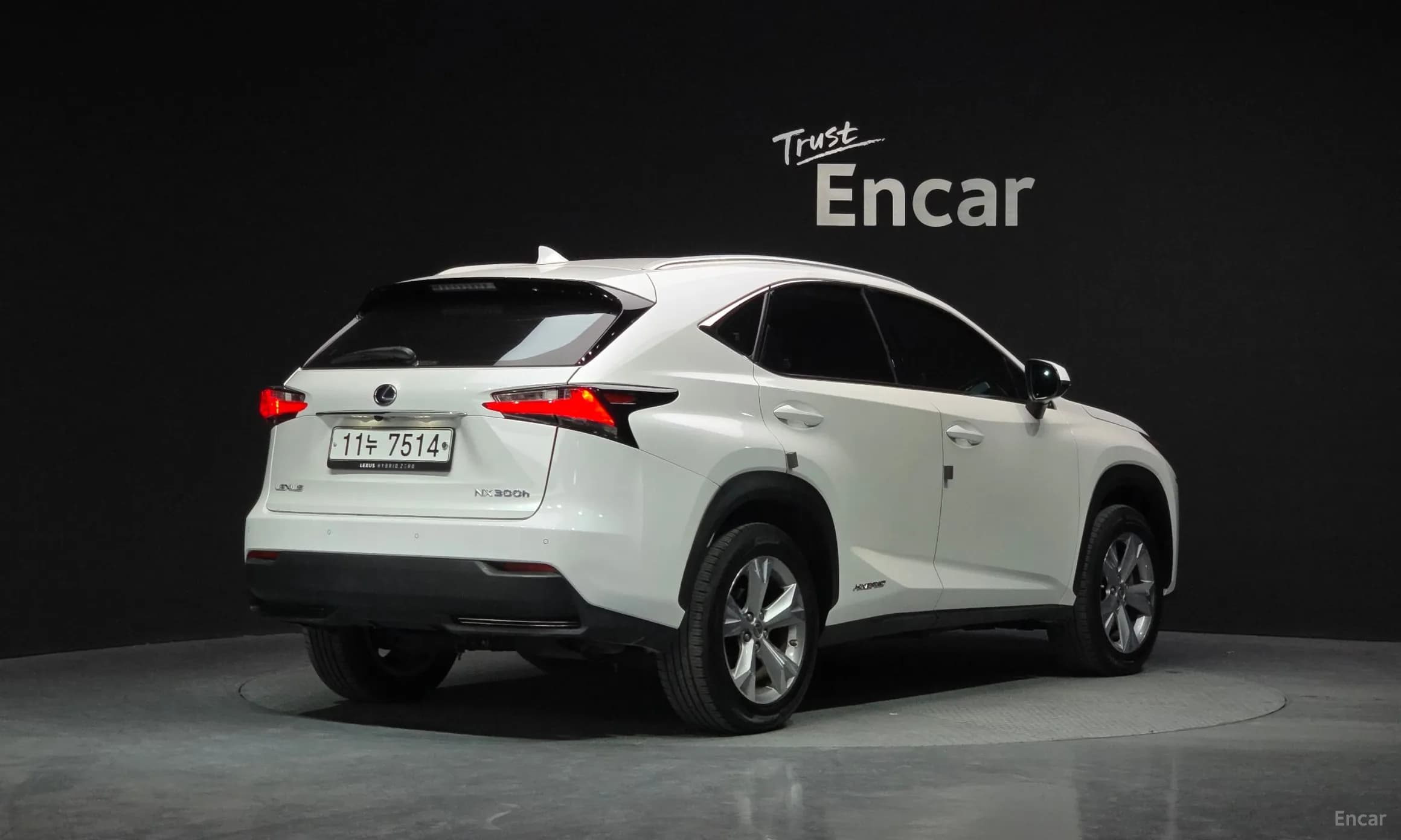 NX300h