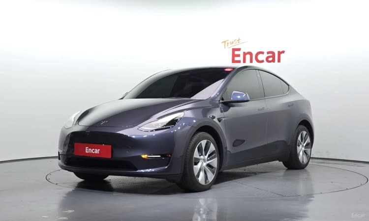Model Y