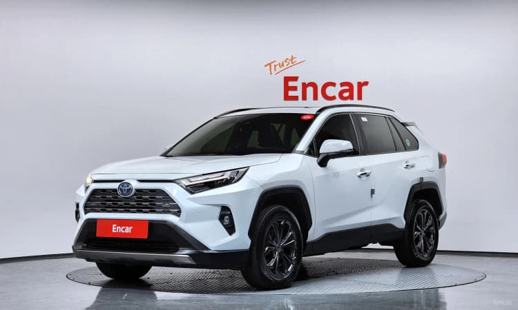 RAV4 5th Generation