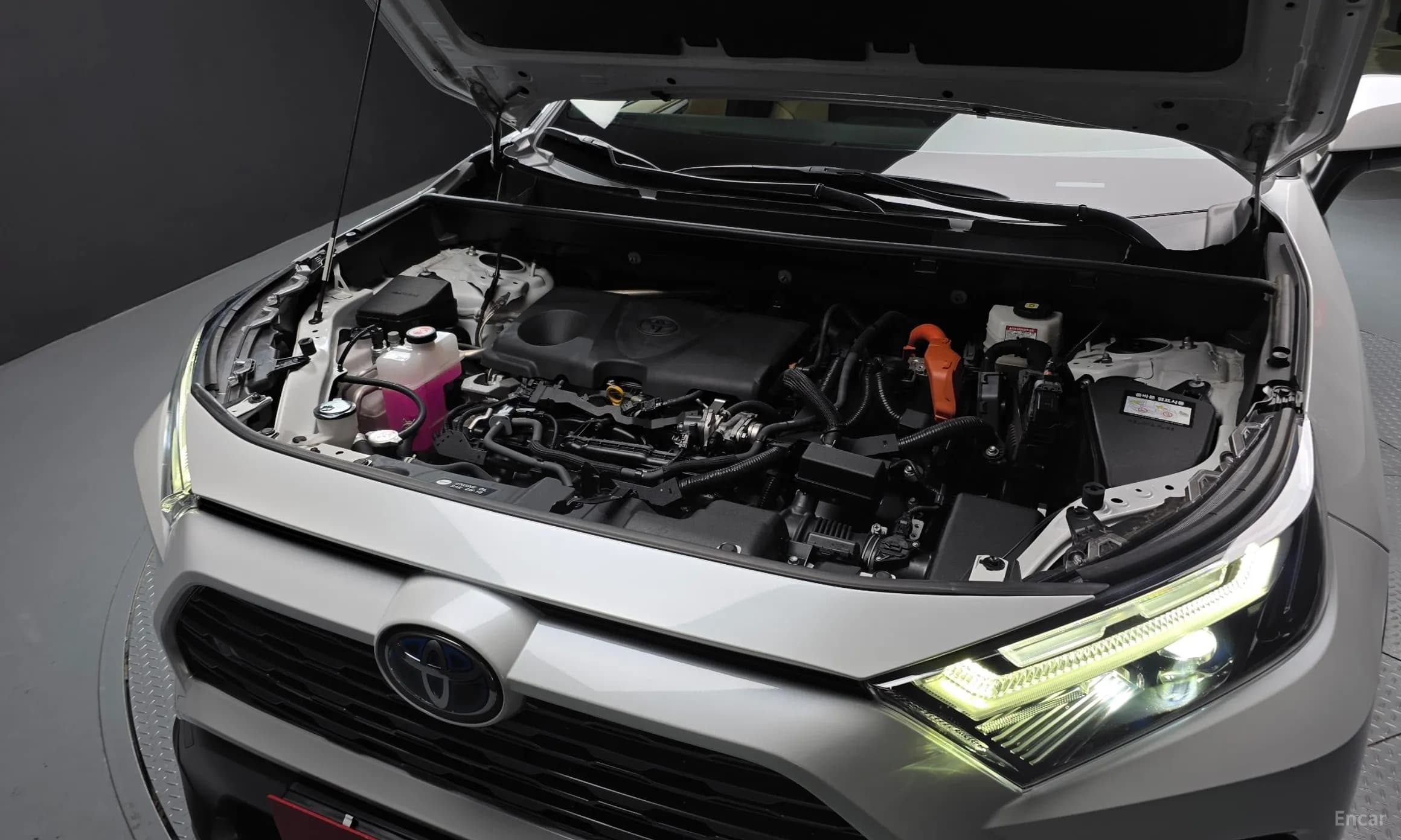 RAV4 5th Generation