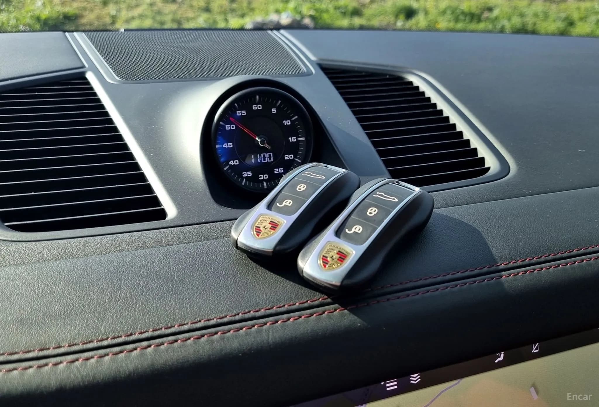 Cayenne (PO536)