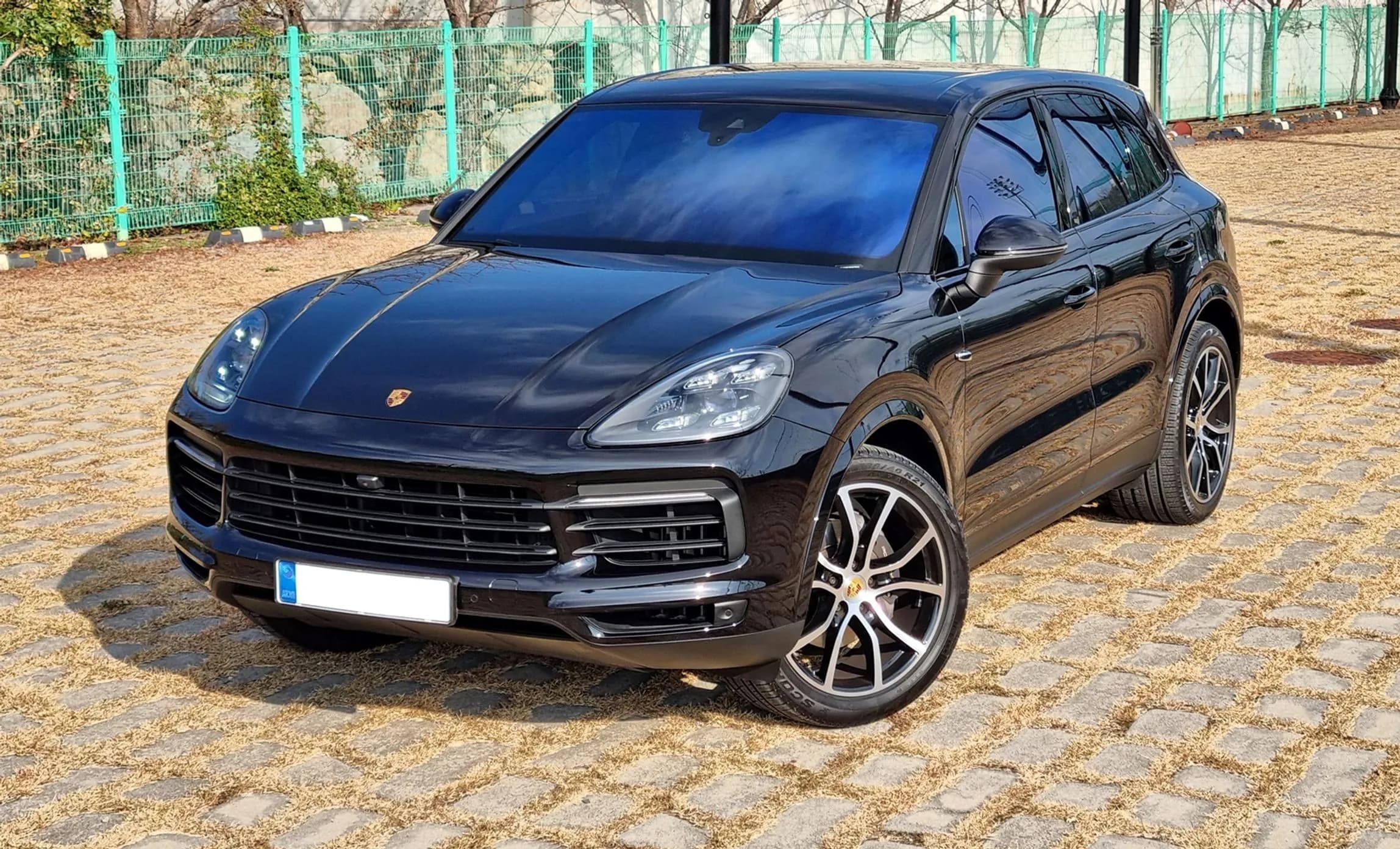 Cayenne (PO536)