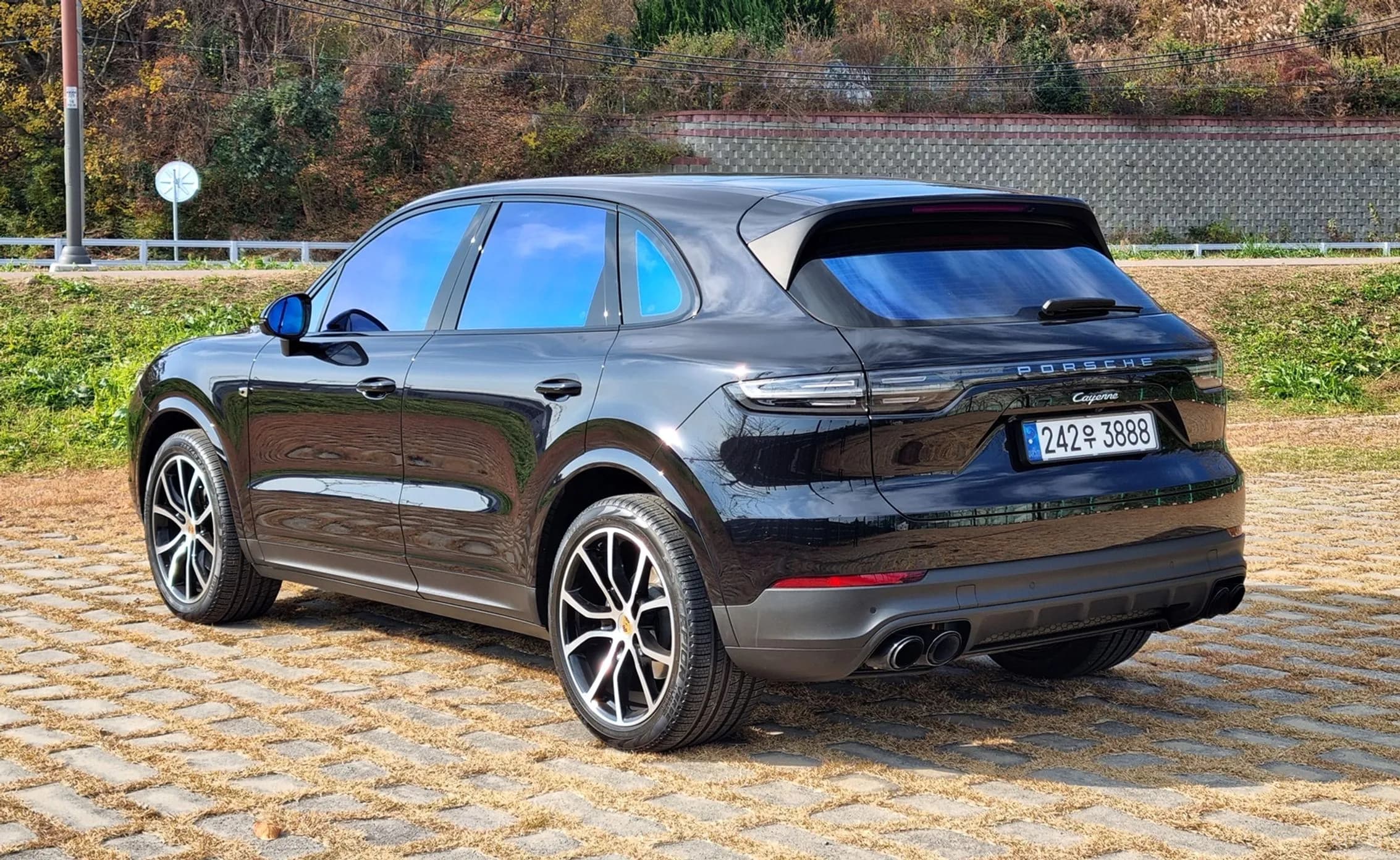 Cayenne (PO536)