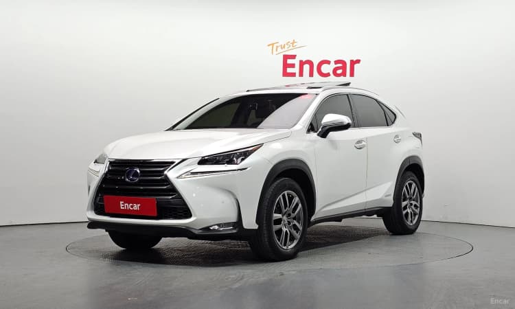 NX300h