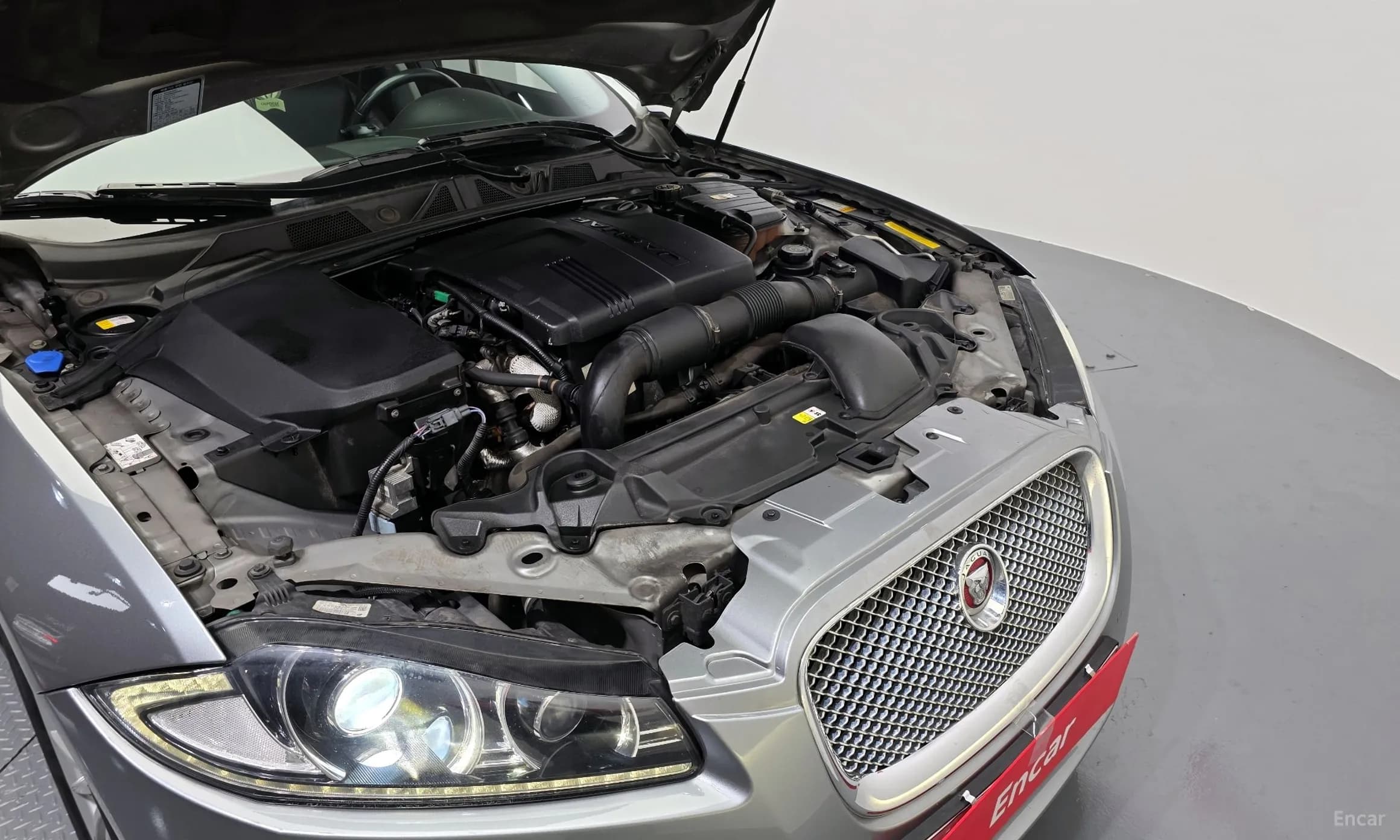 New XF