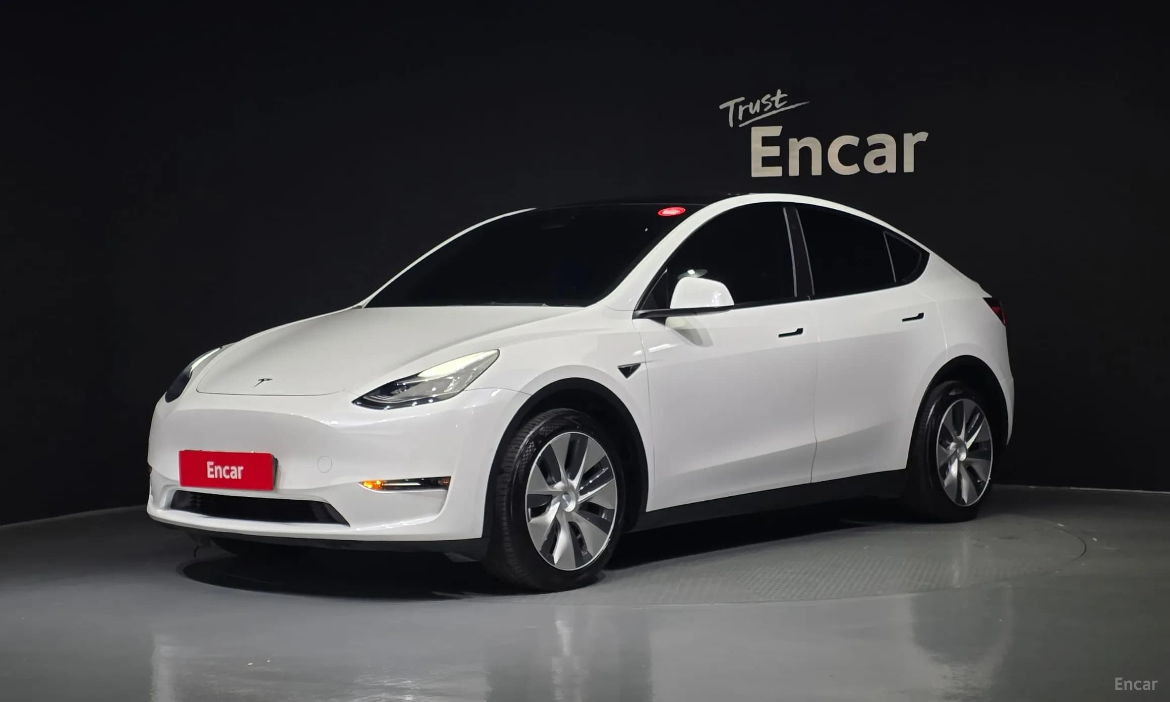 Model Y