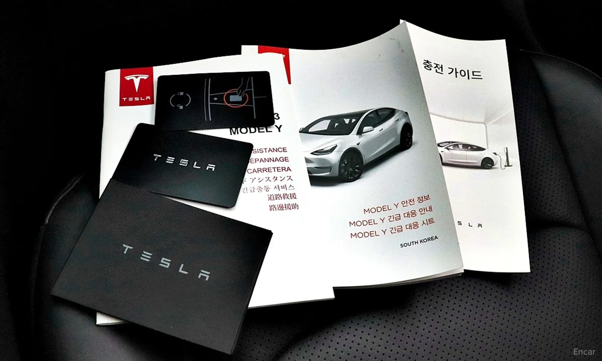 Model Y