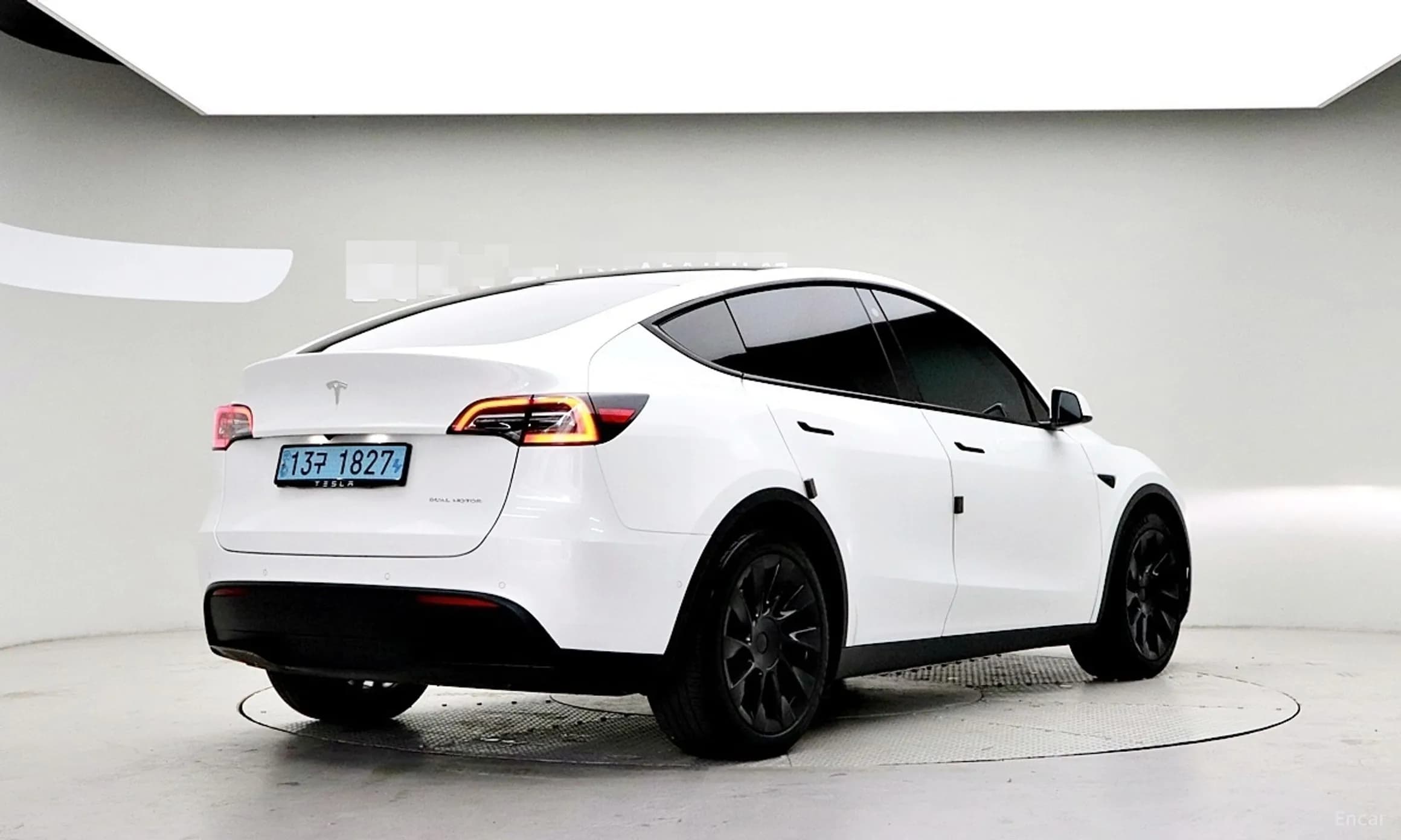 Model Y