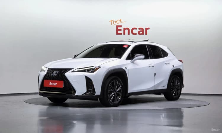 UX250h