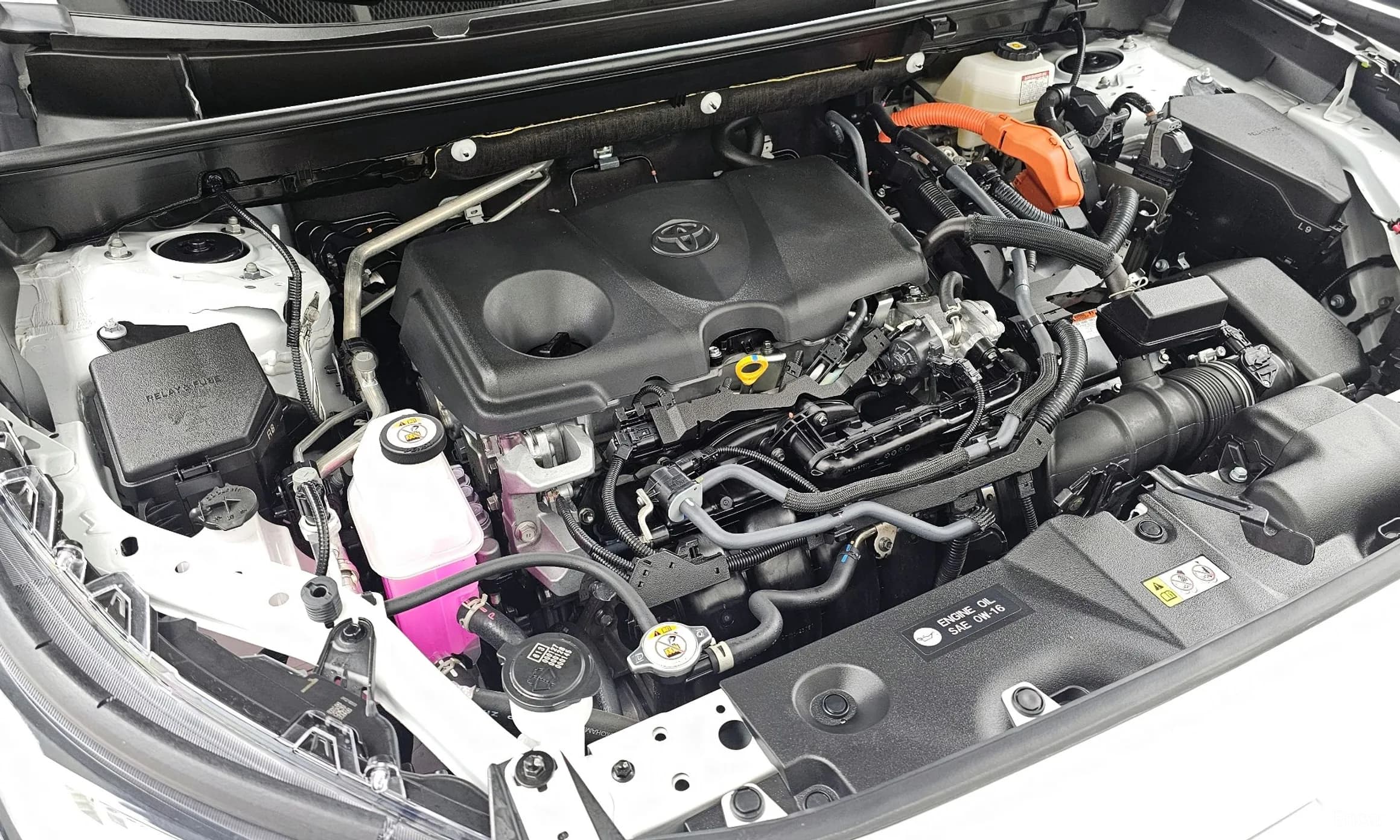 RAV4 5th Generation