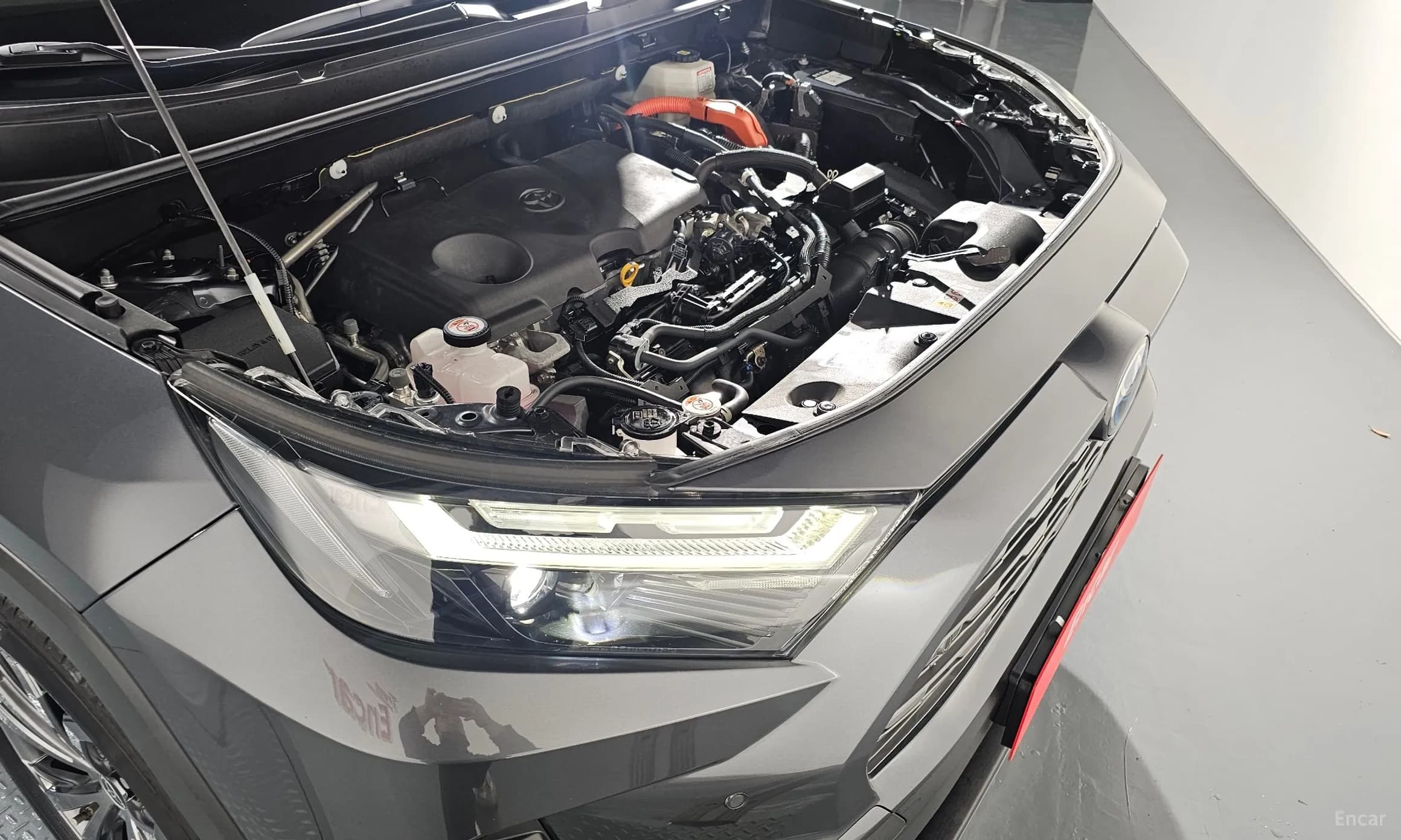 RAV4 5th Generation