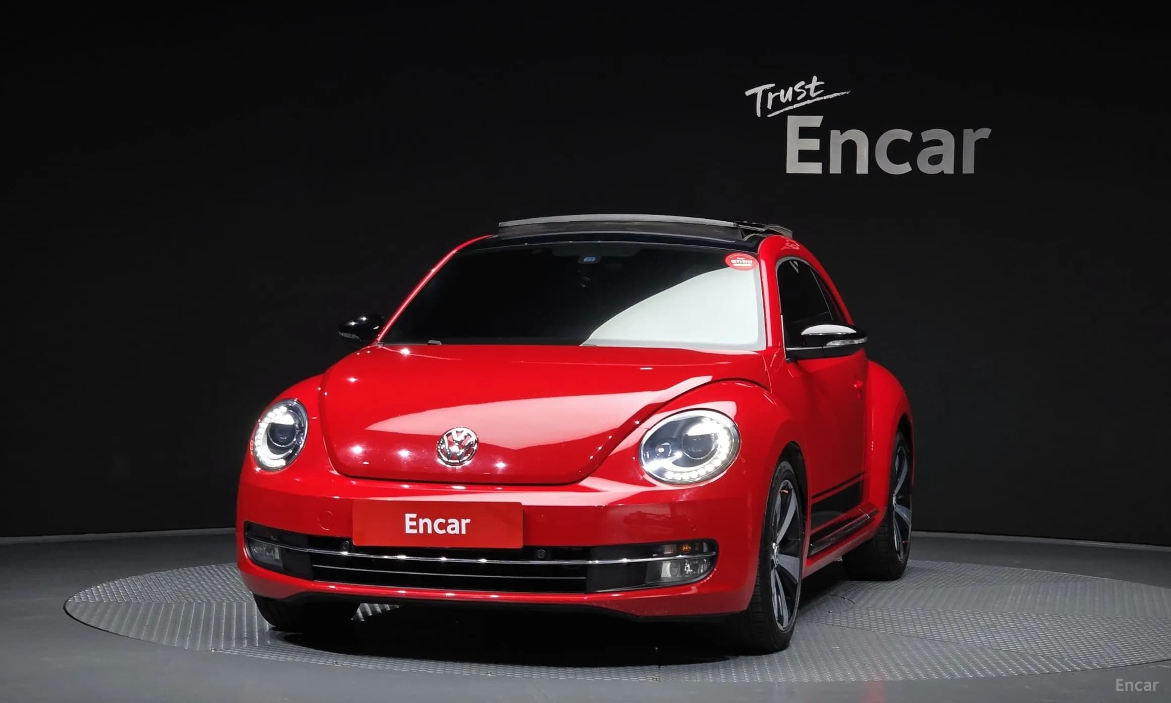 The Beetle