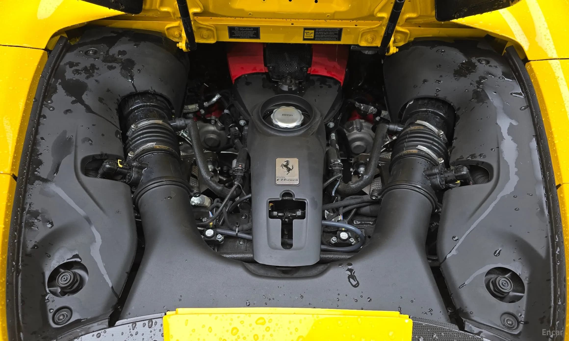 F8 Spider