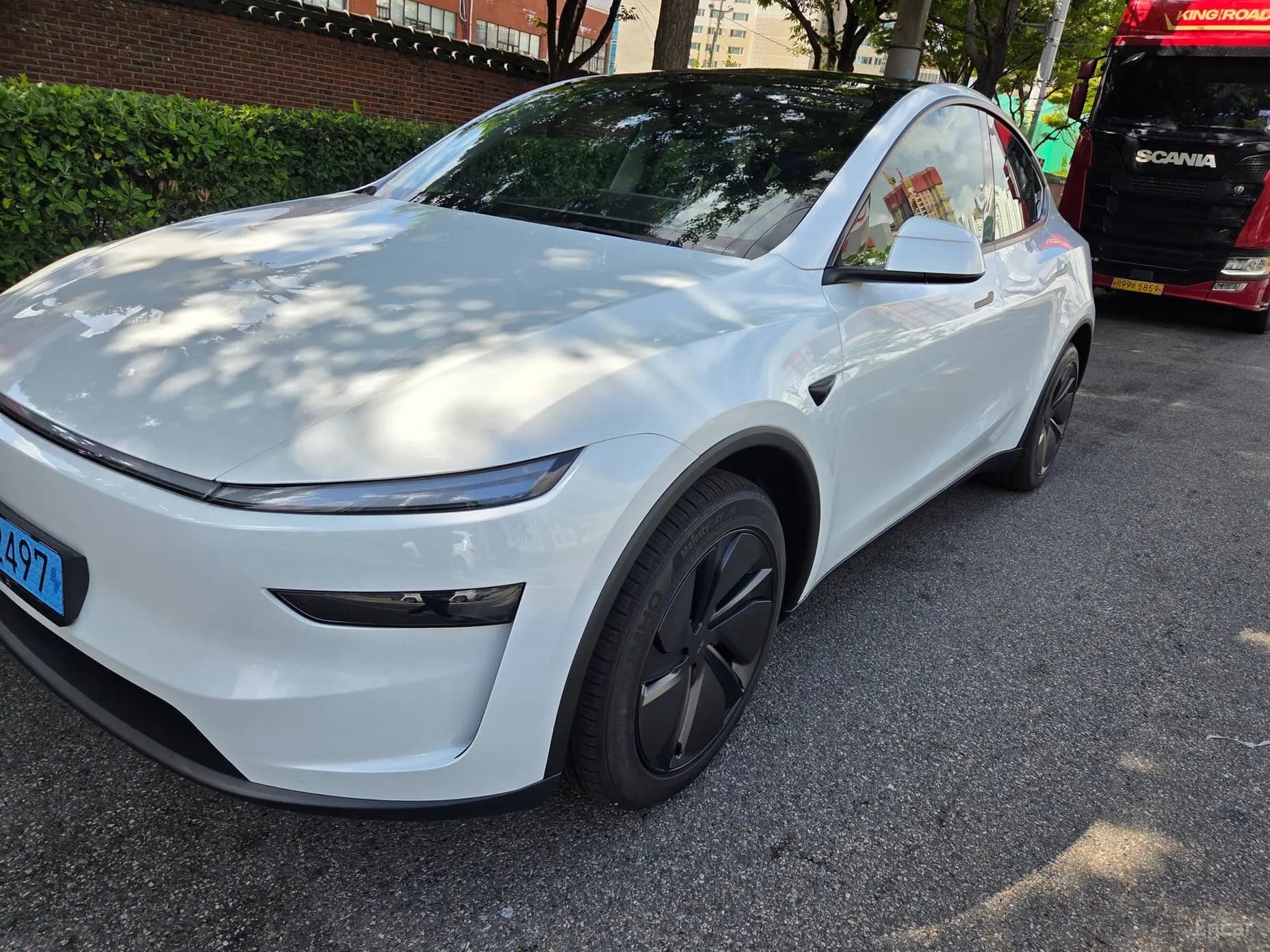 Model Y