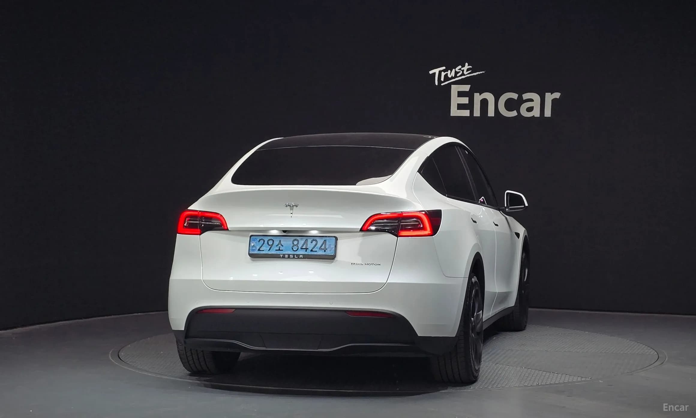 Model Y