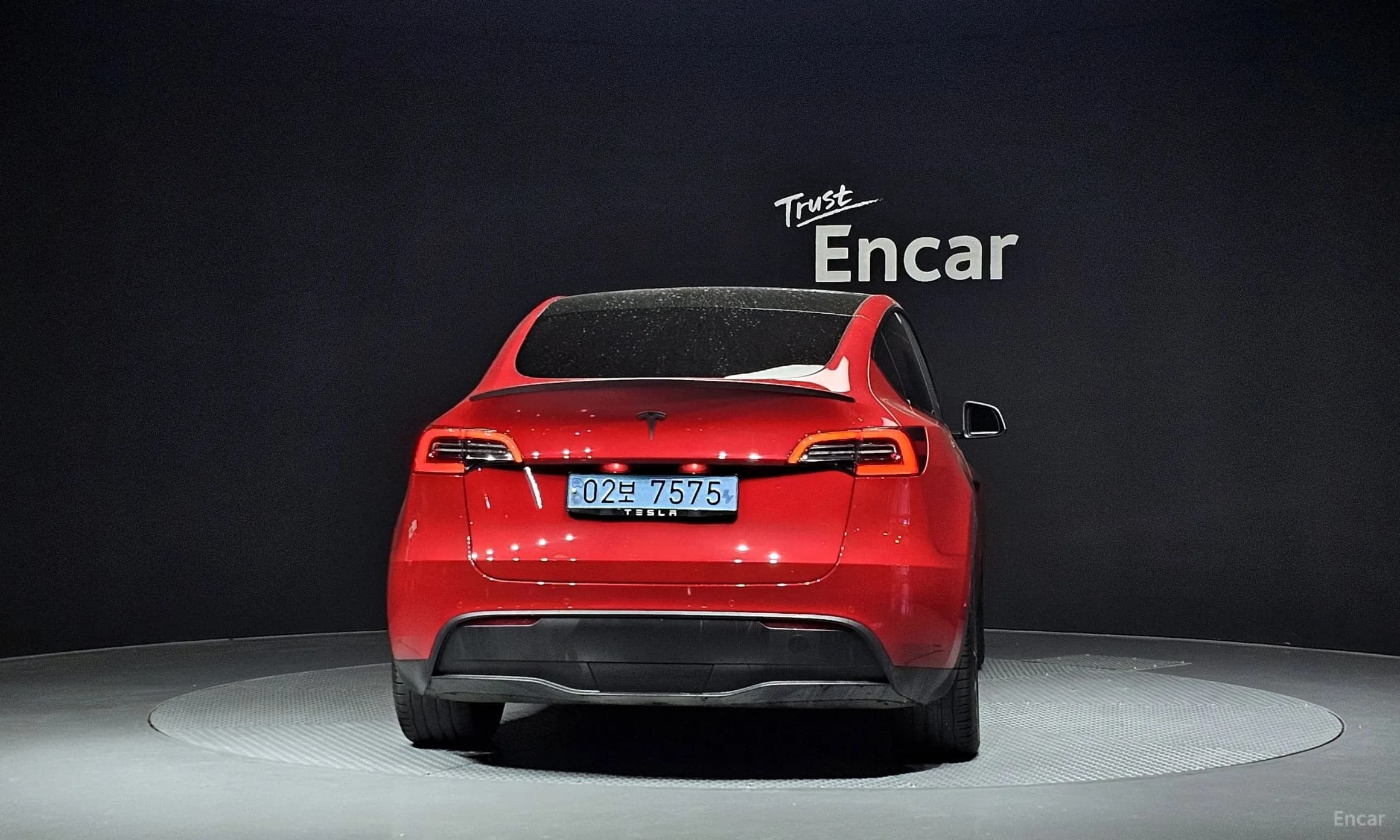 Model Y