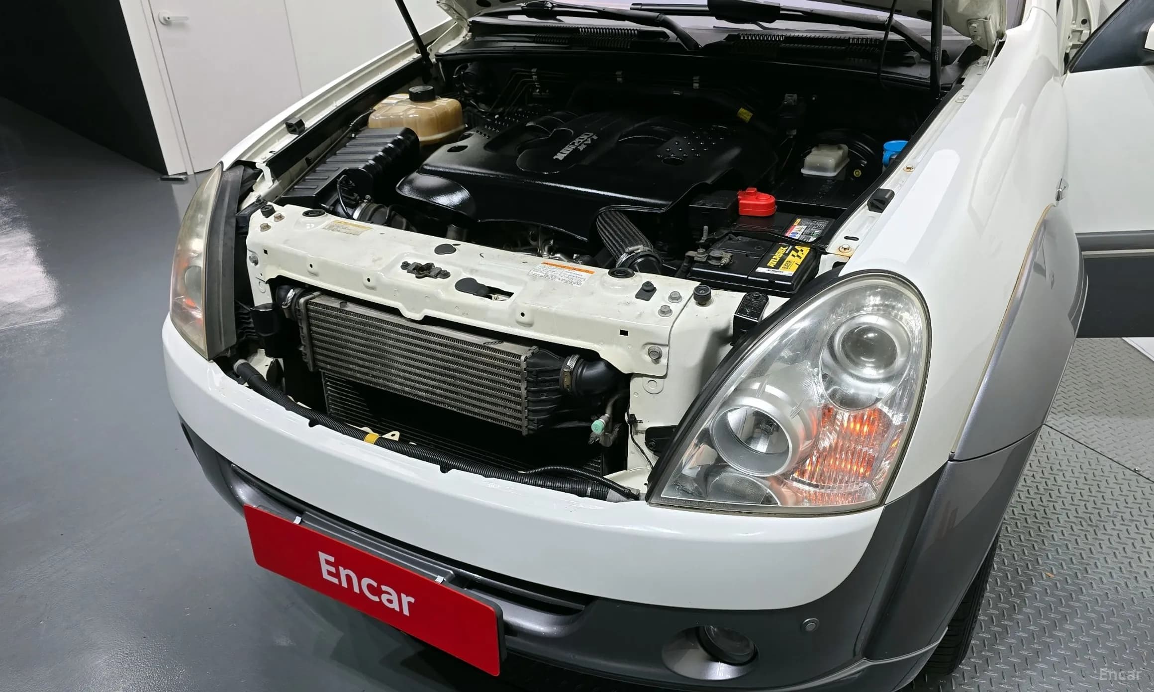 Super Rexton
