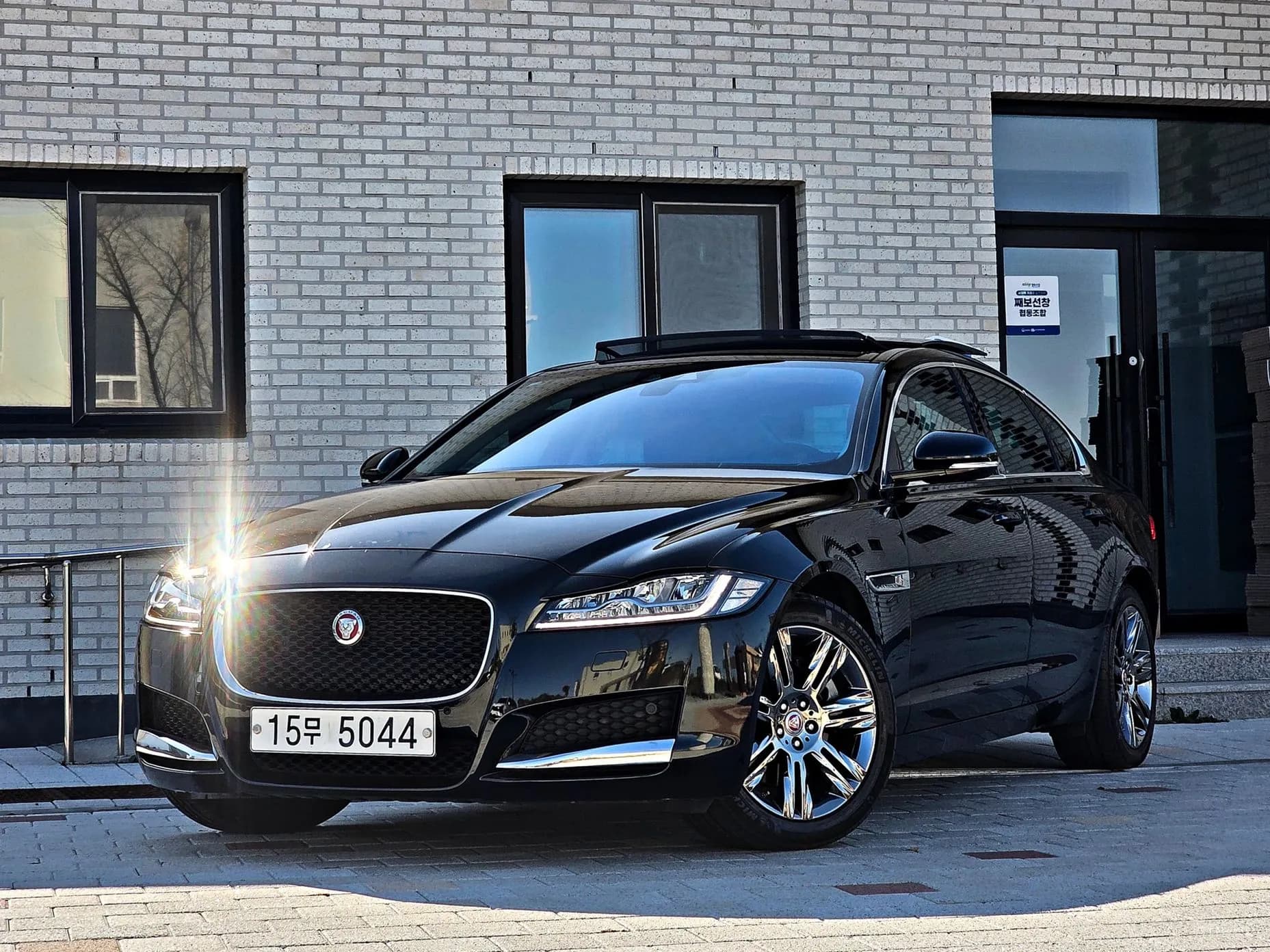 XF (x260)