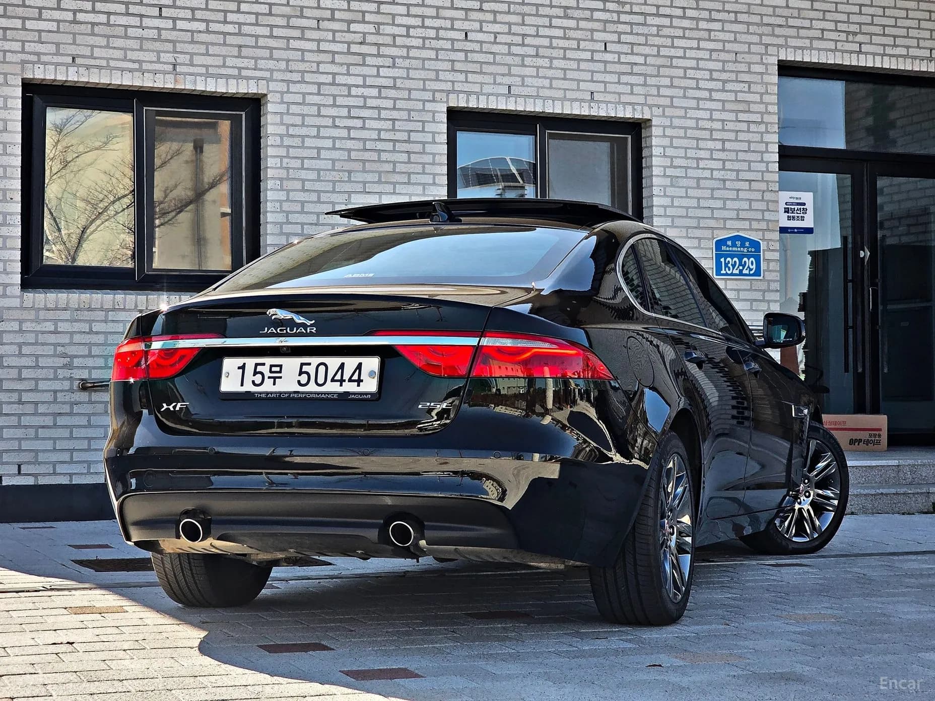 XF (x260)