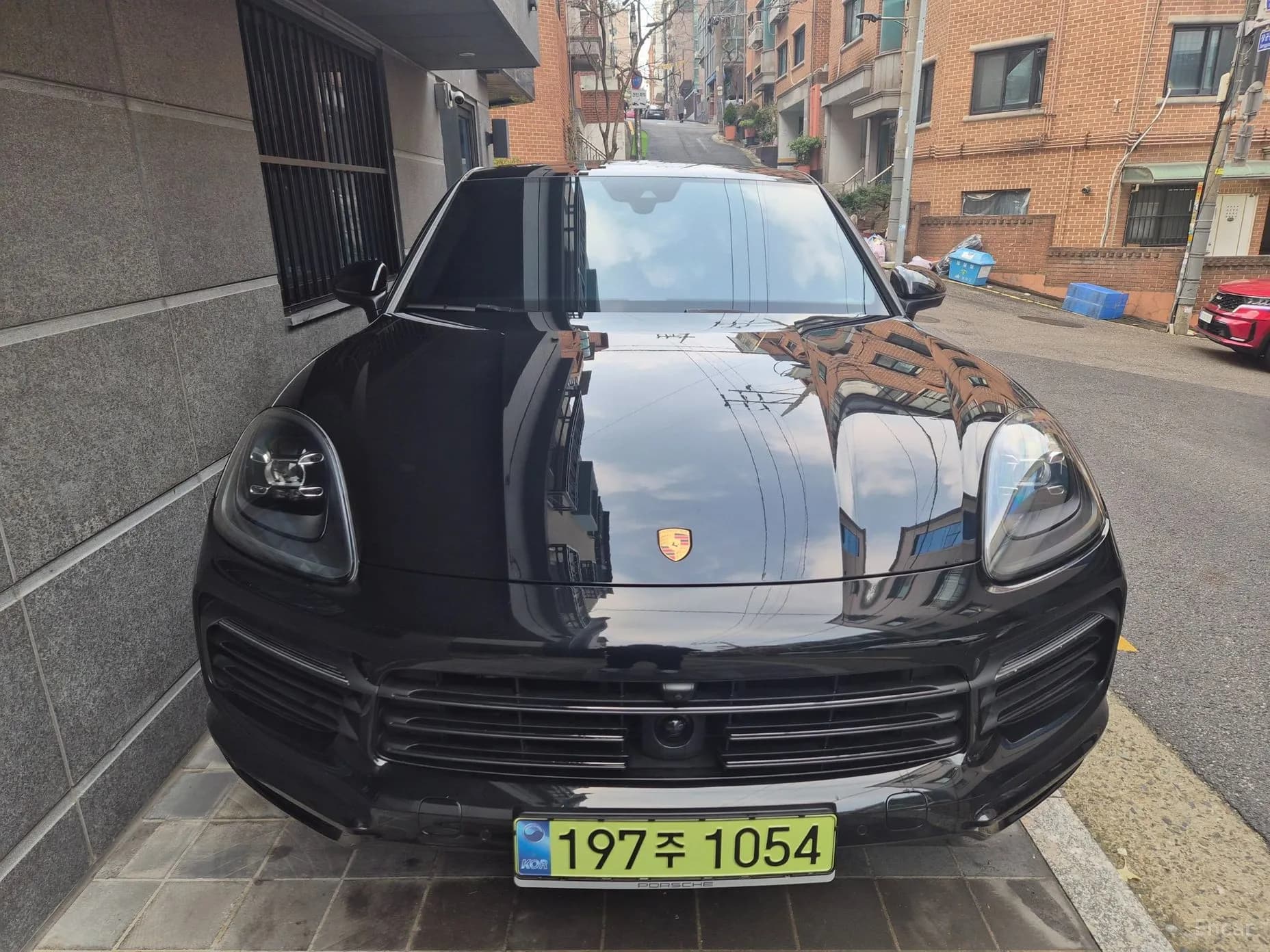 Cayenne (PO536)