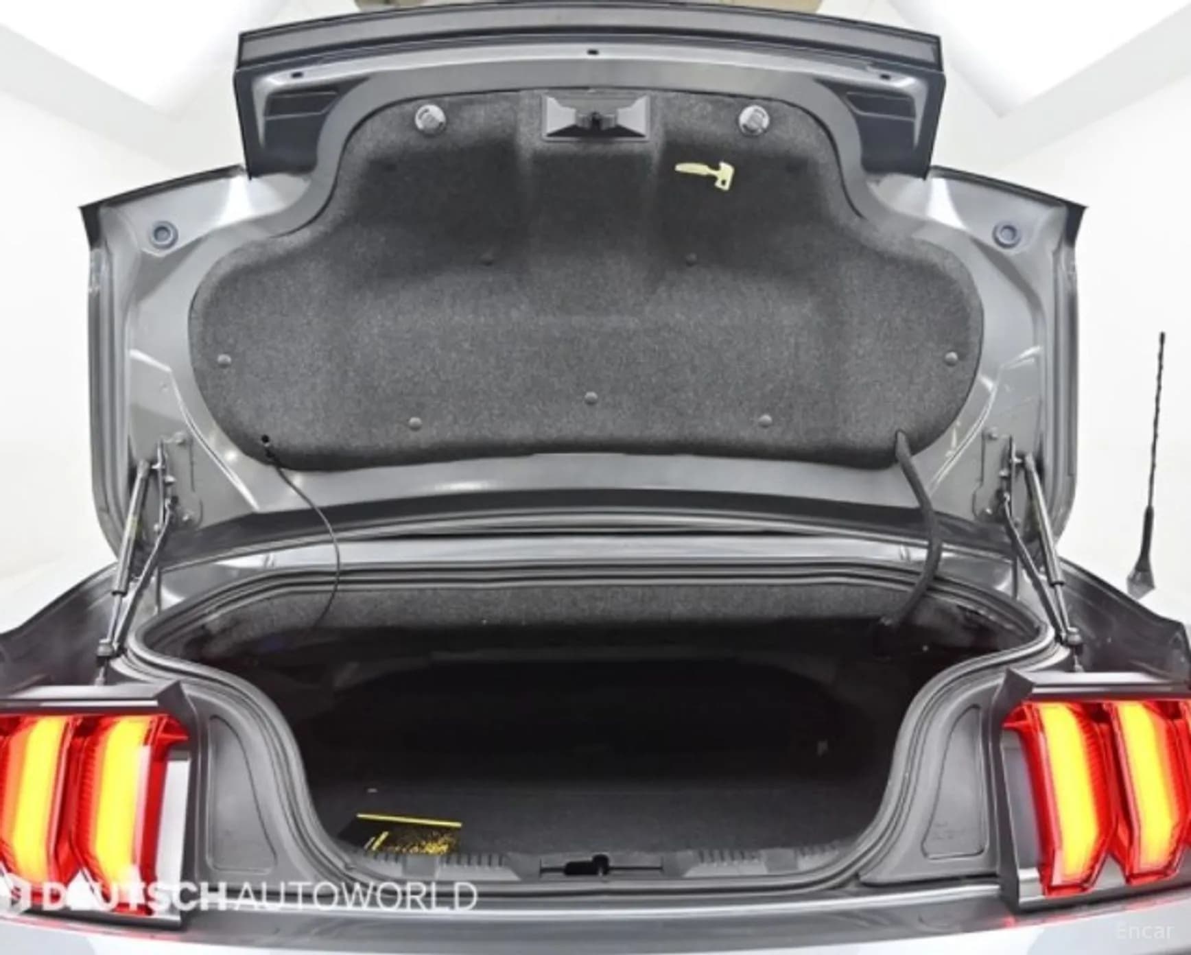 Mustang