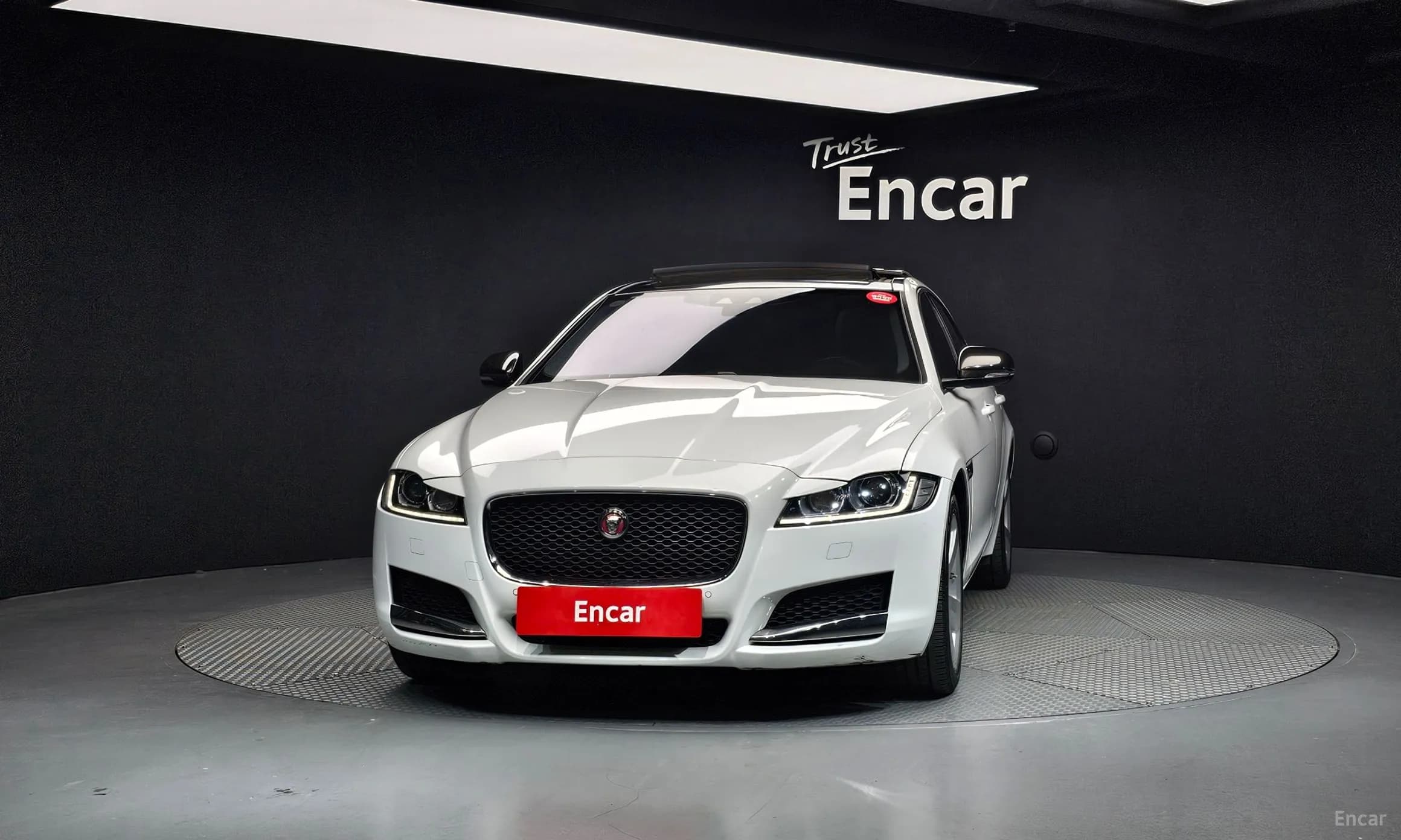 XF (x260)