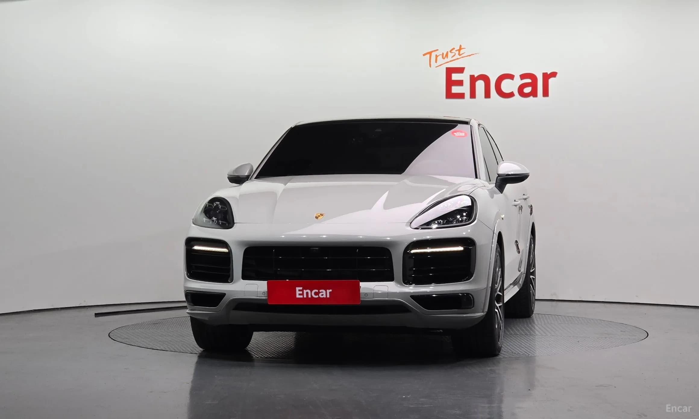 Cayenne (PO536)