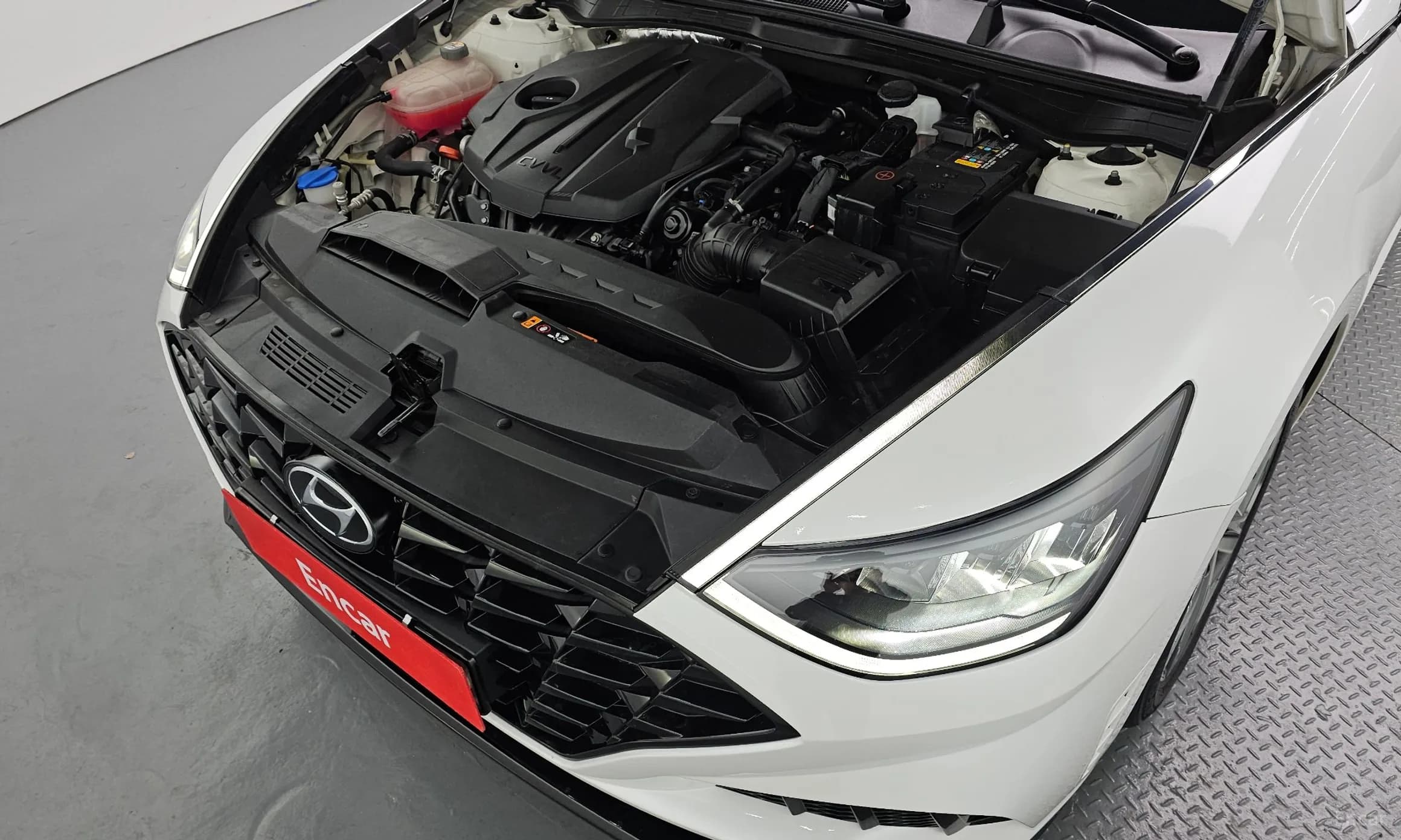 Sonata (DN8)