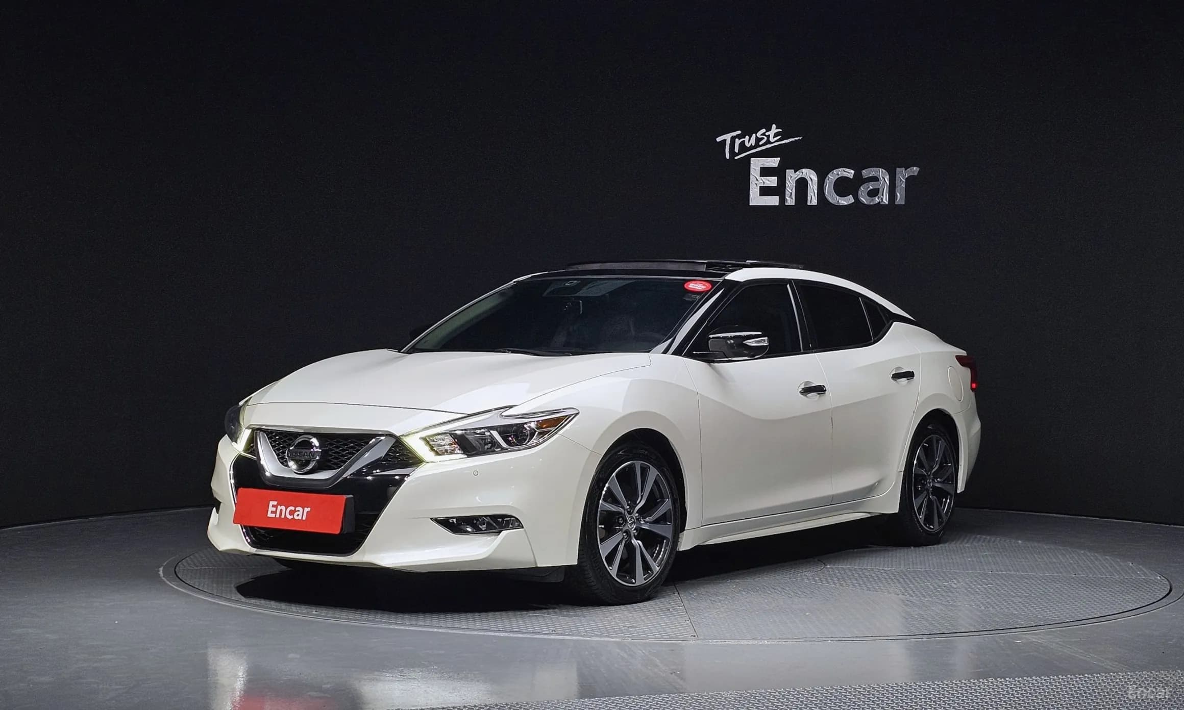 Maxima (A36)