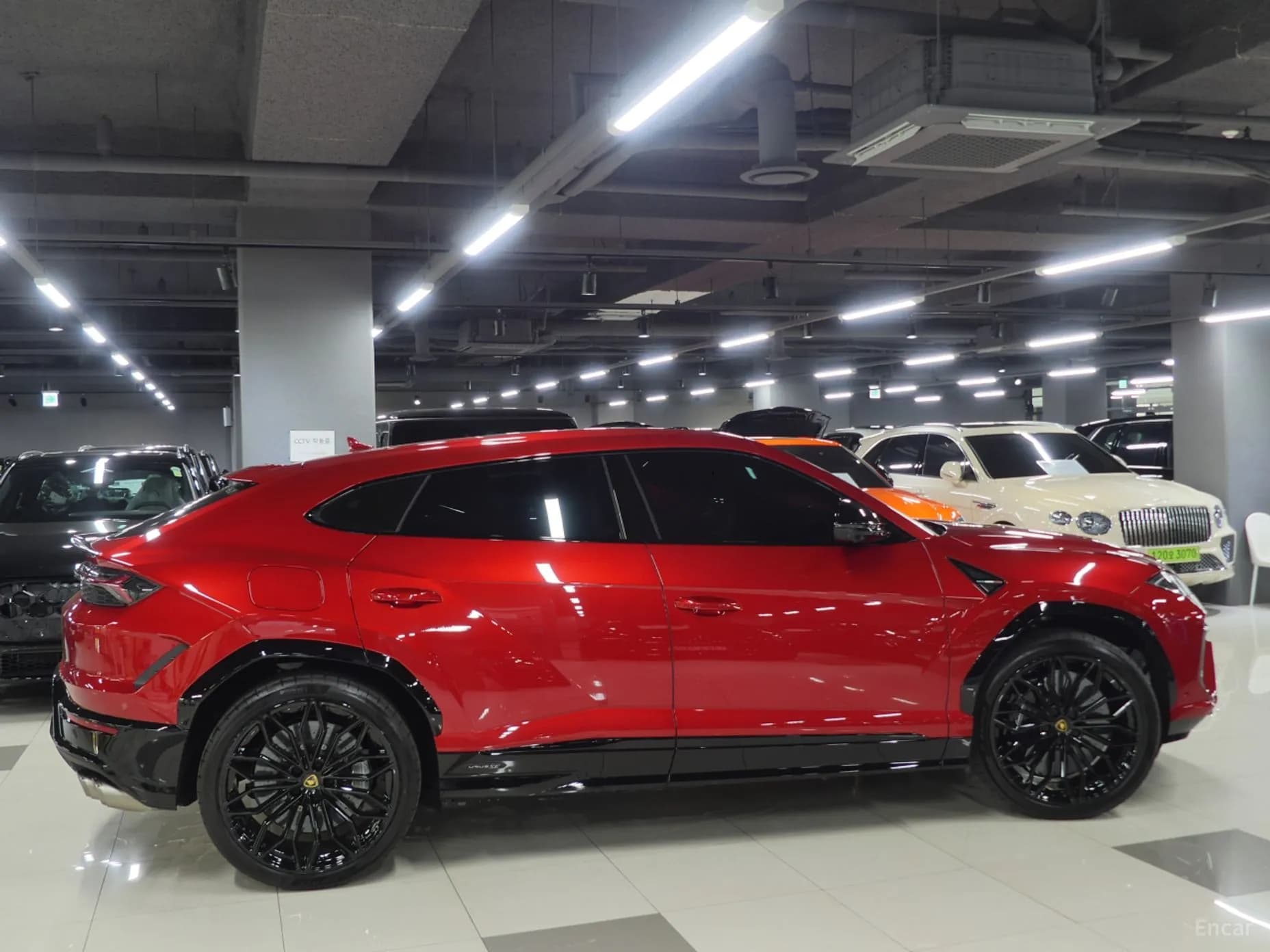 Urus