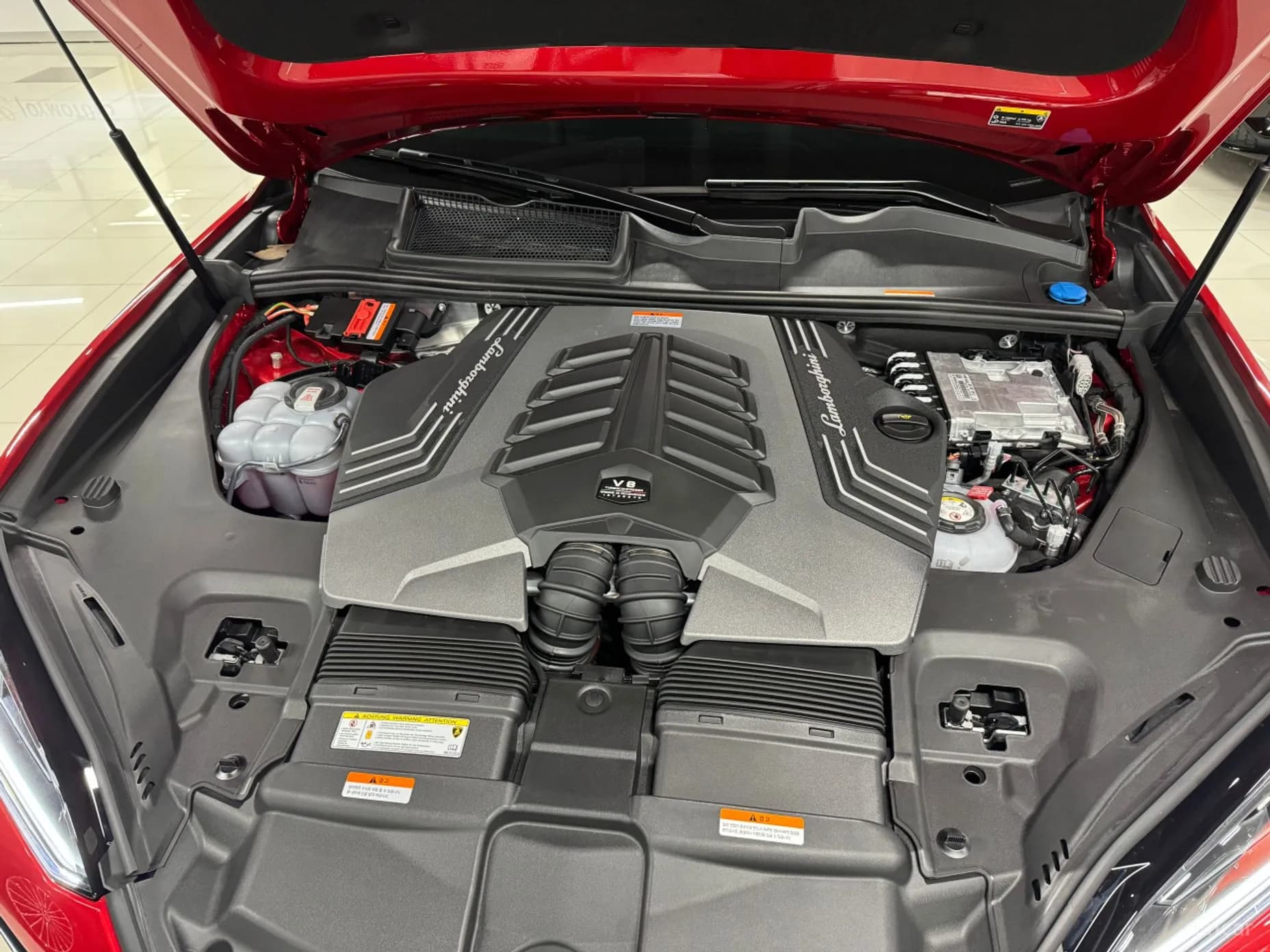 Urus