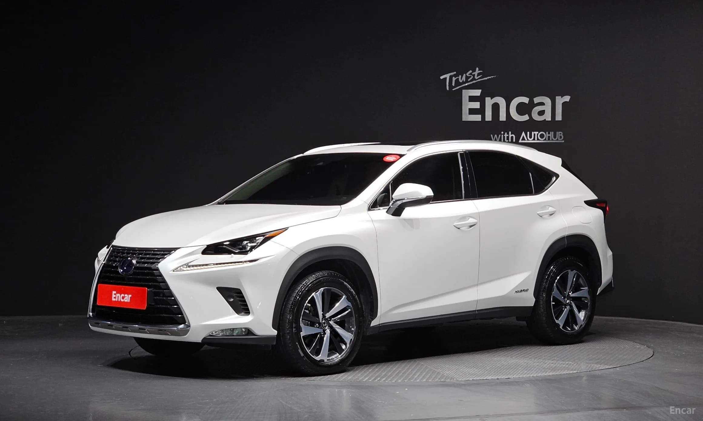 NX300h