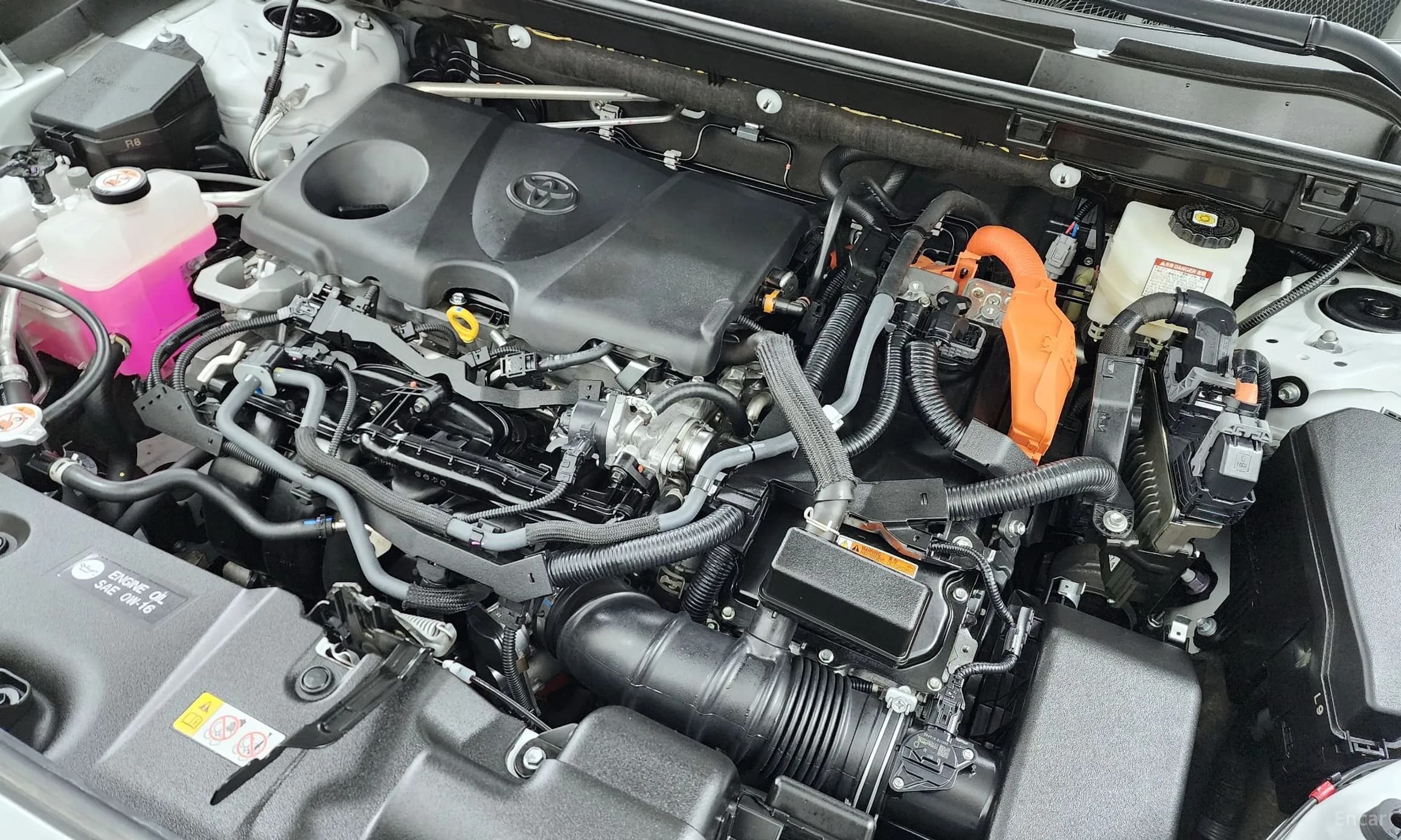 RAV4 5th Generation