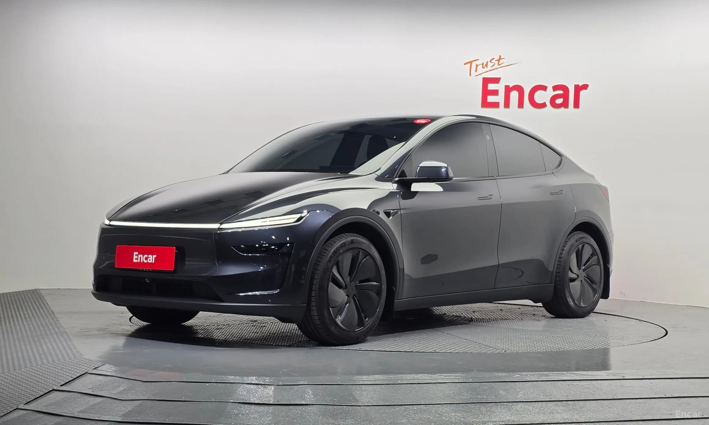 Model Y
