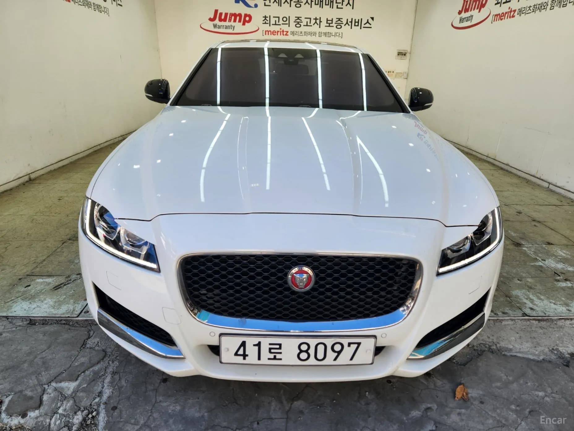 XF (x260)